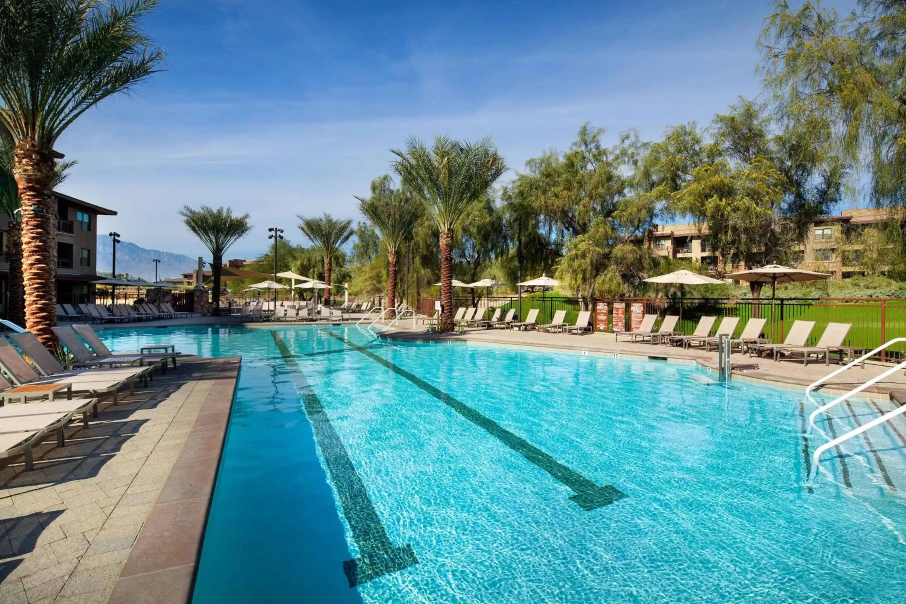 Swimming Pool in The Westin Desert Willow Villas, Palm Desert