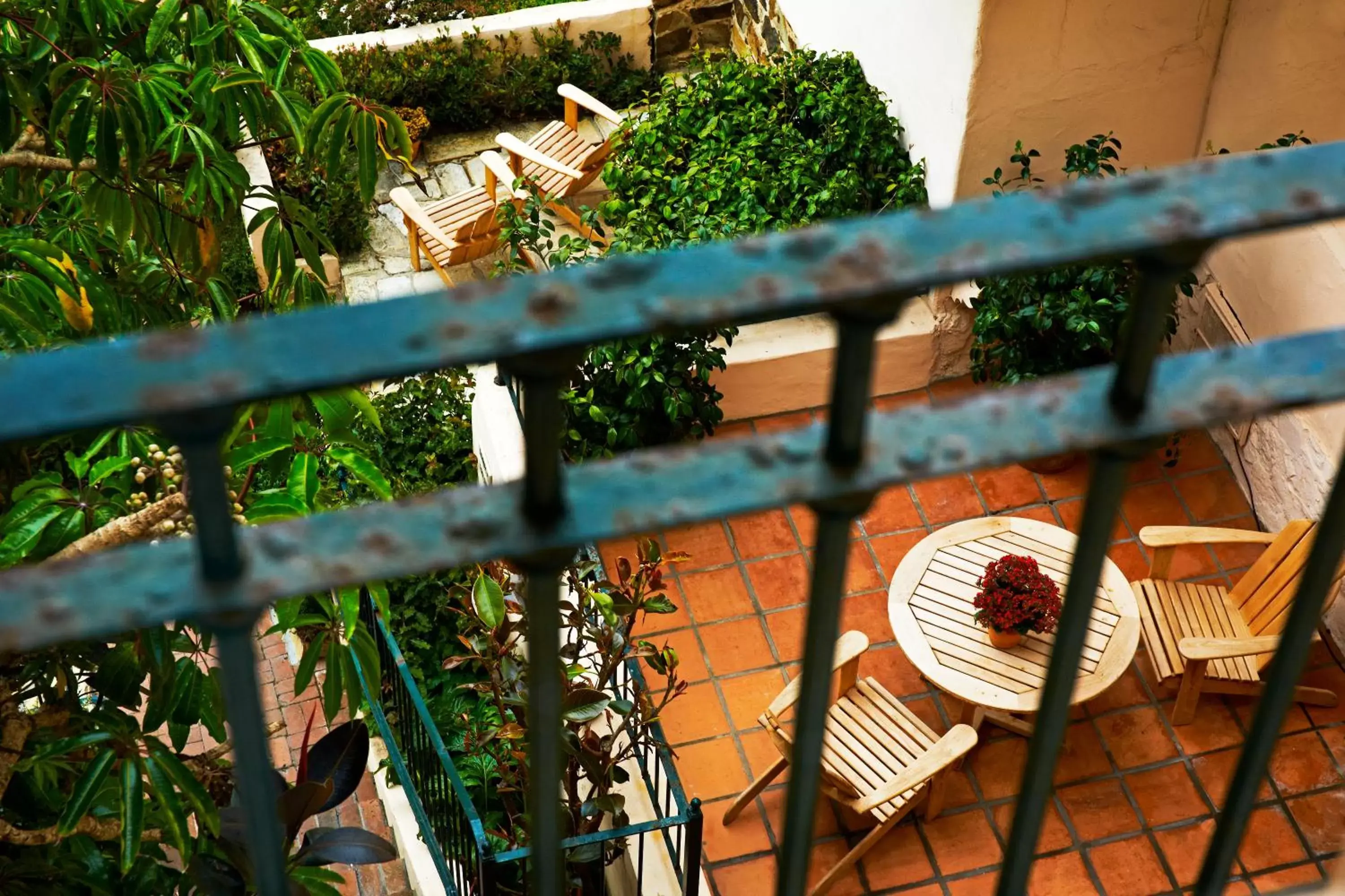 Garden, Balcony/Terrace in La Playa Hotel