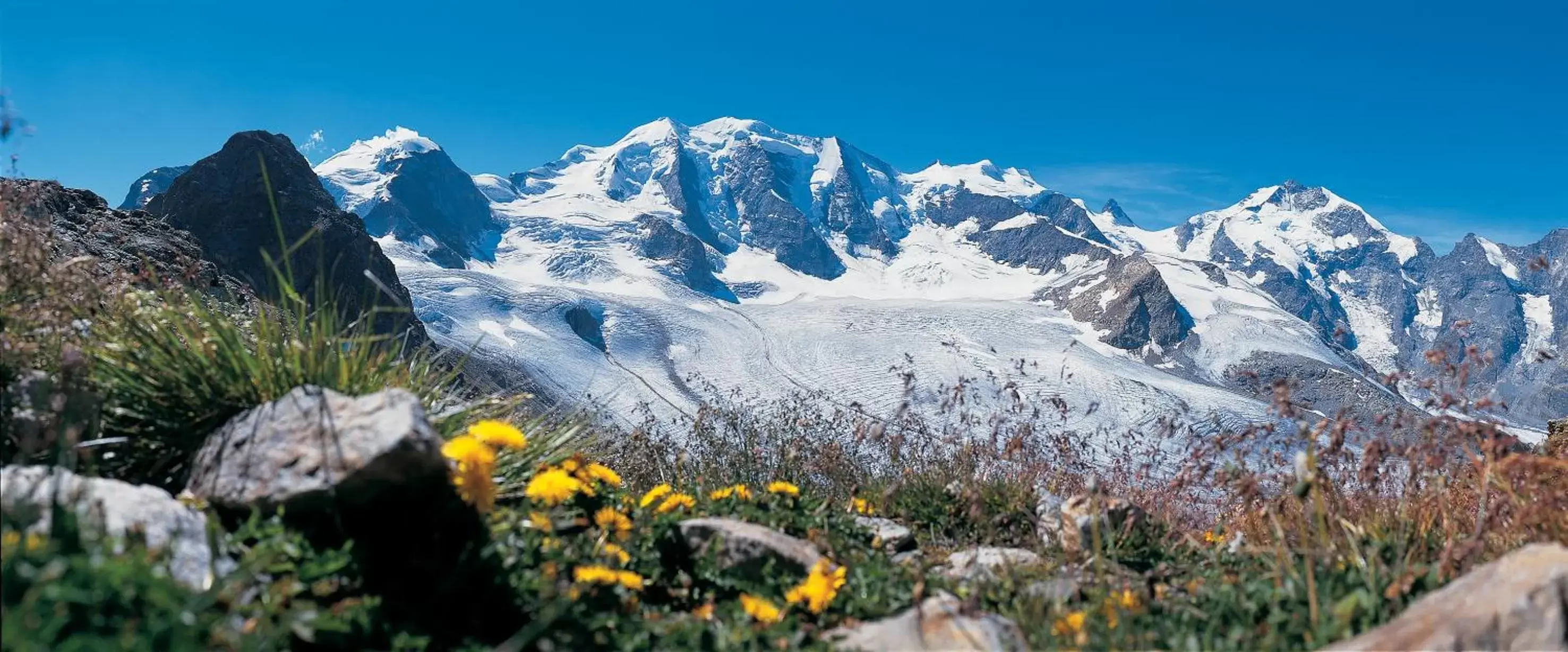 Natural landscape in Hotel Allegra