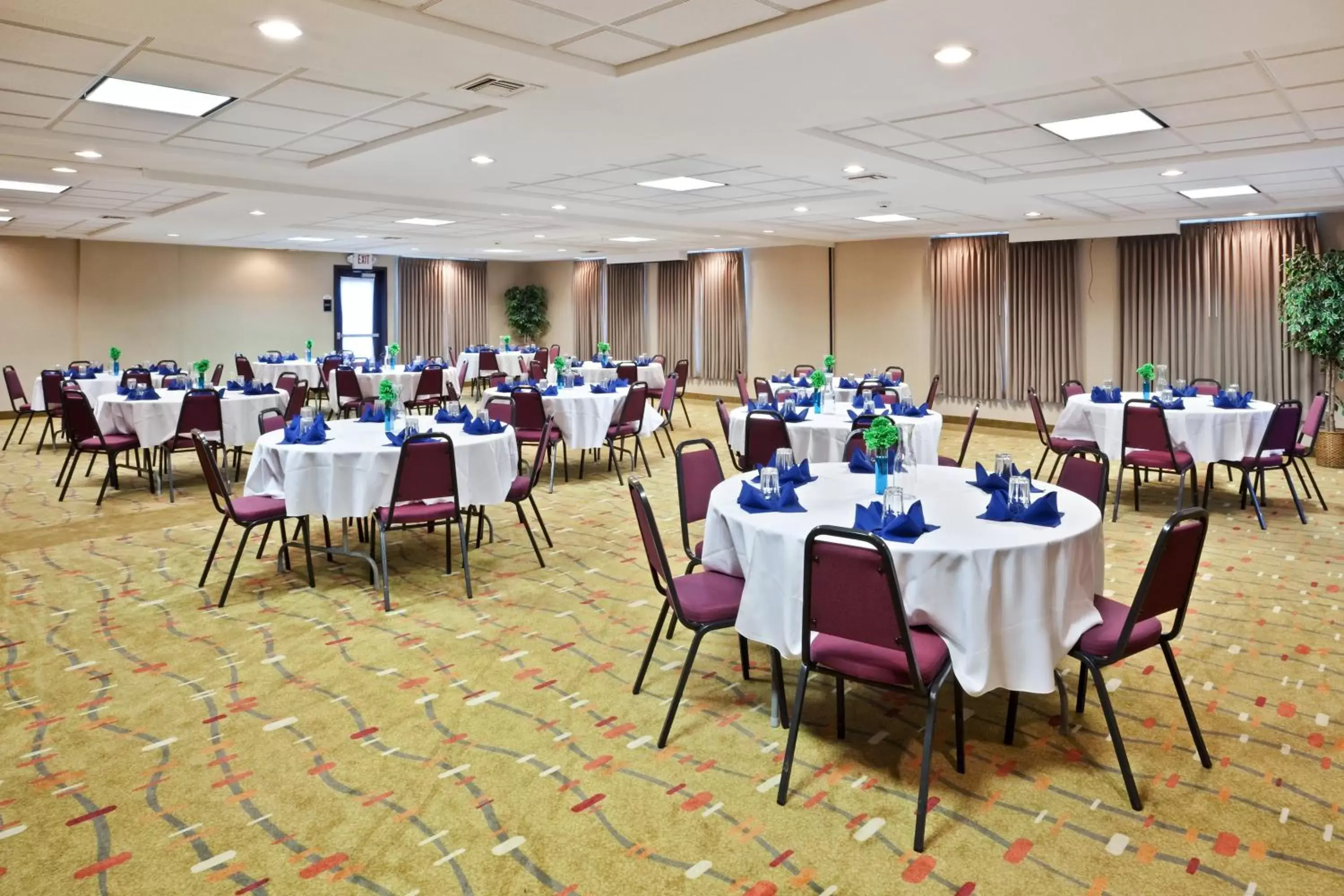 Banquet/Function facilities in Holiday Inn Express Hotel & Suites Albany, an IHG Hotel