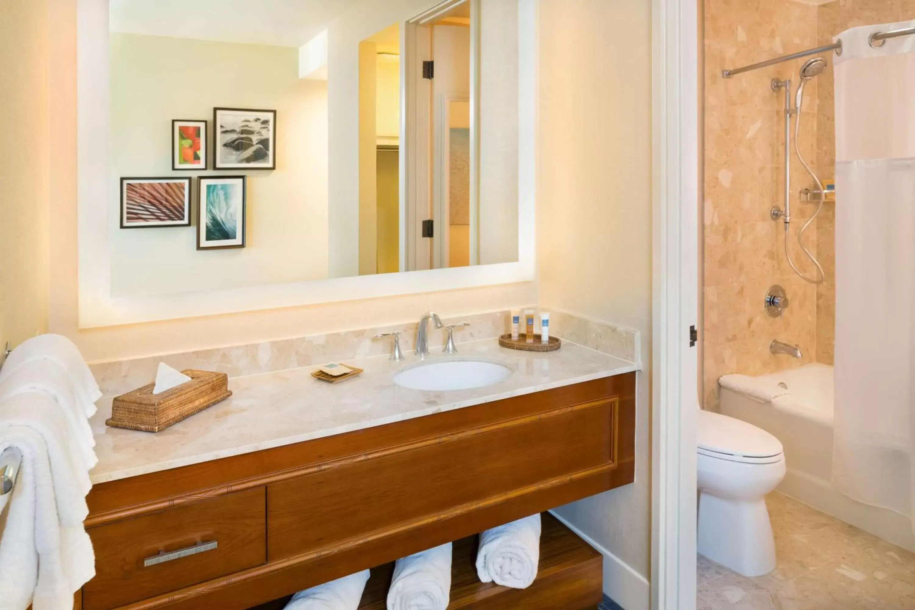 Bathroom in Hilton Waikoloa Village