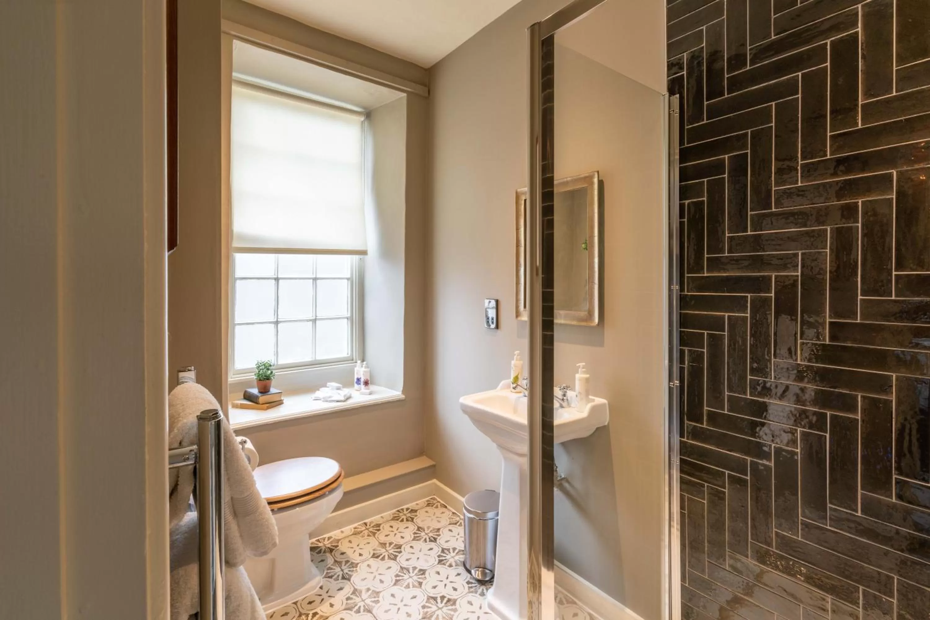 Shower in The George Inn & Plaine