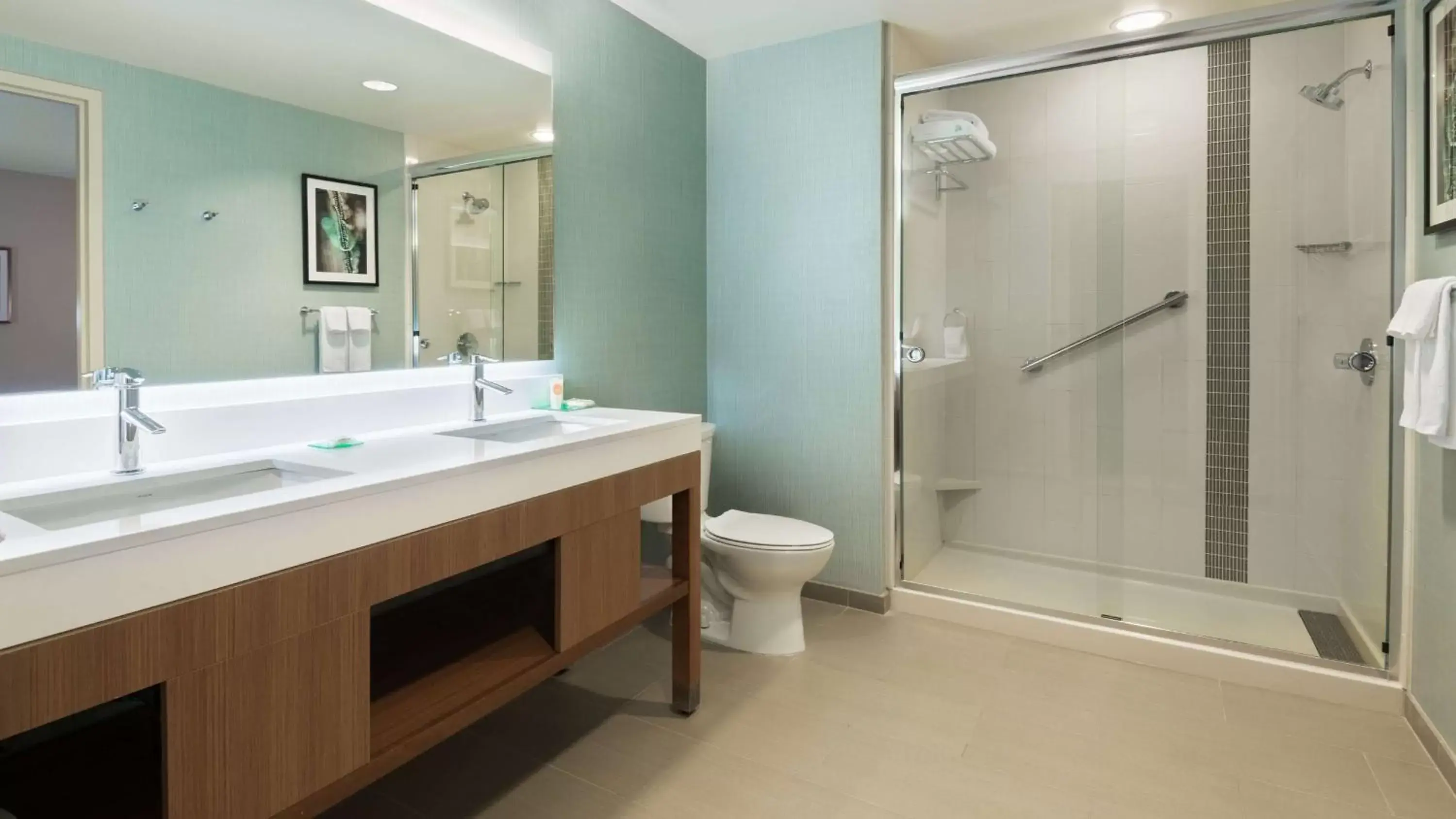 Bathroom in Hyatt Place Austin/Round Rock