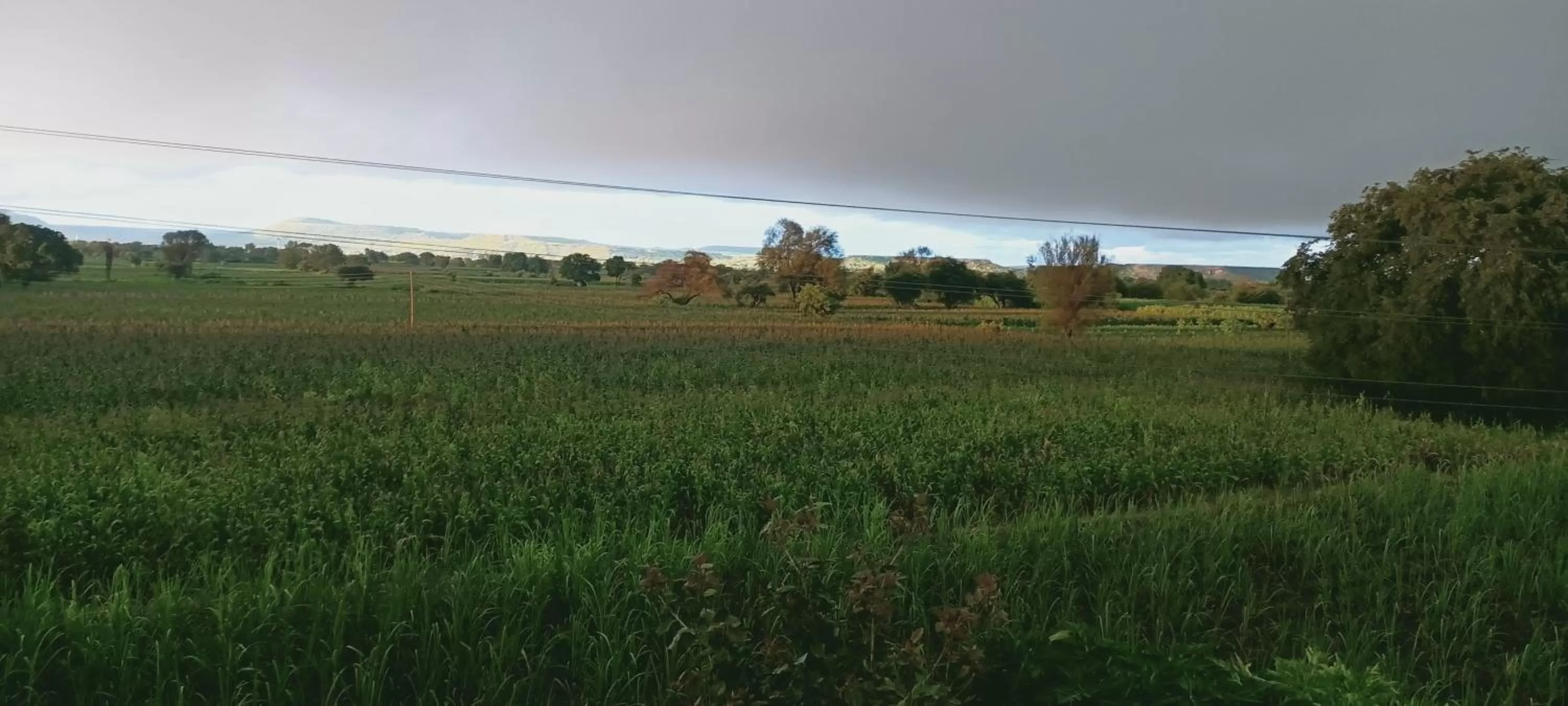 Hotel Nisarg Lodging And Restaurant