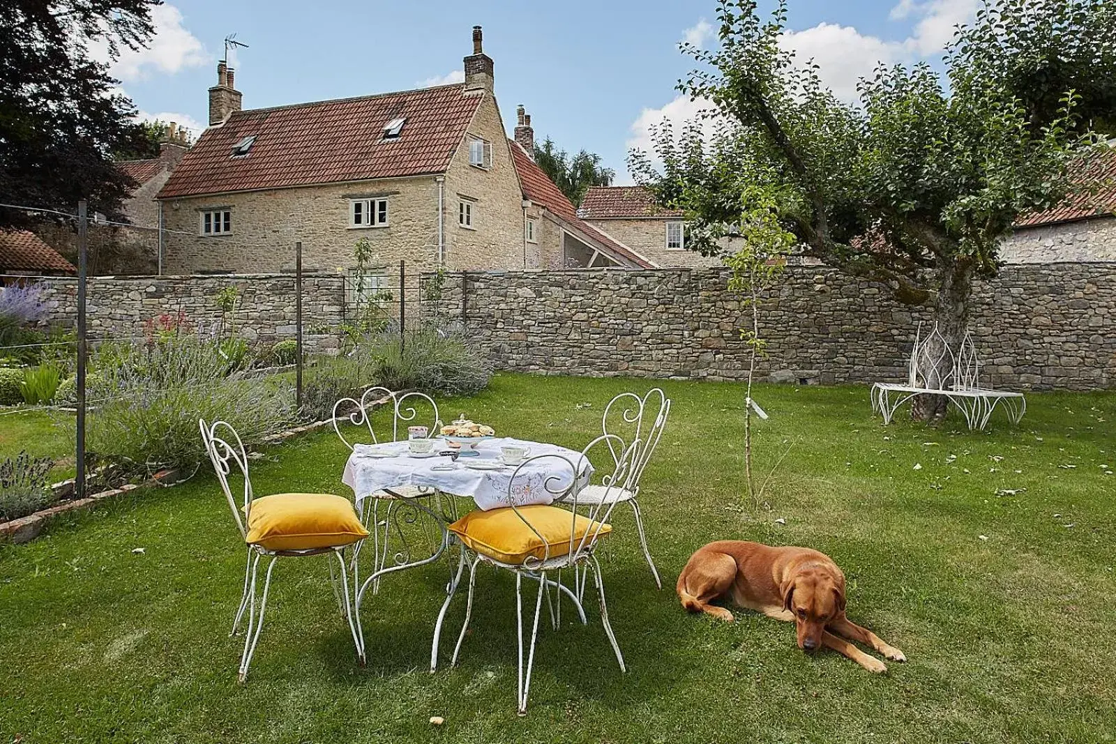 Garden, Property Building in Cherry tree farm B and B