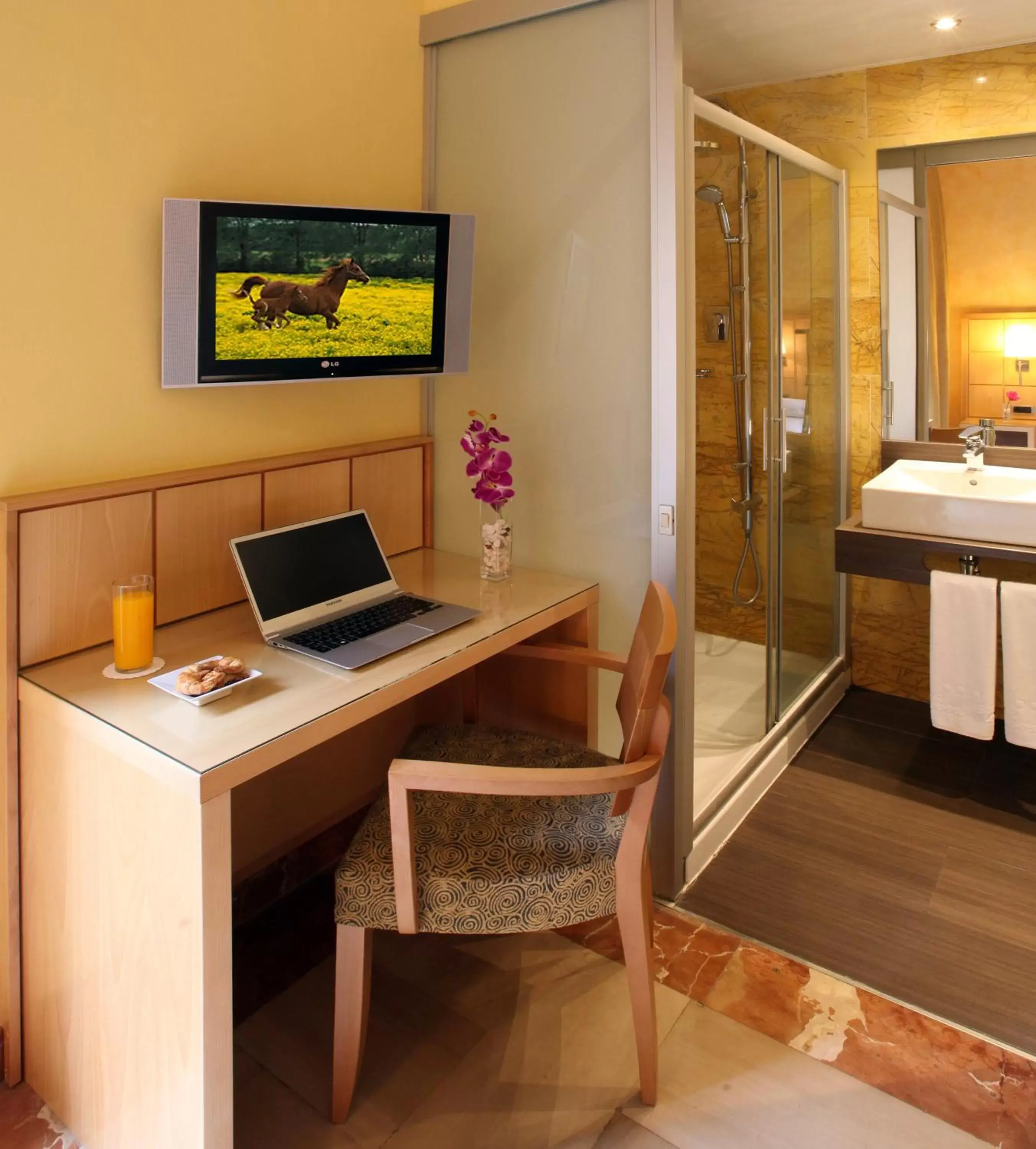 TV and multimedia in Hotel Nouvel