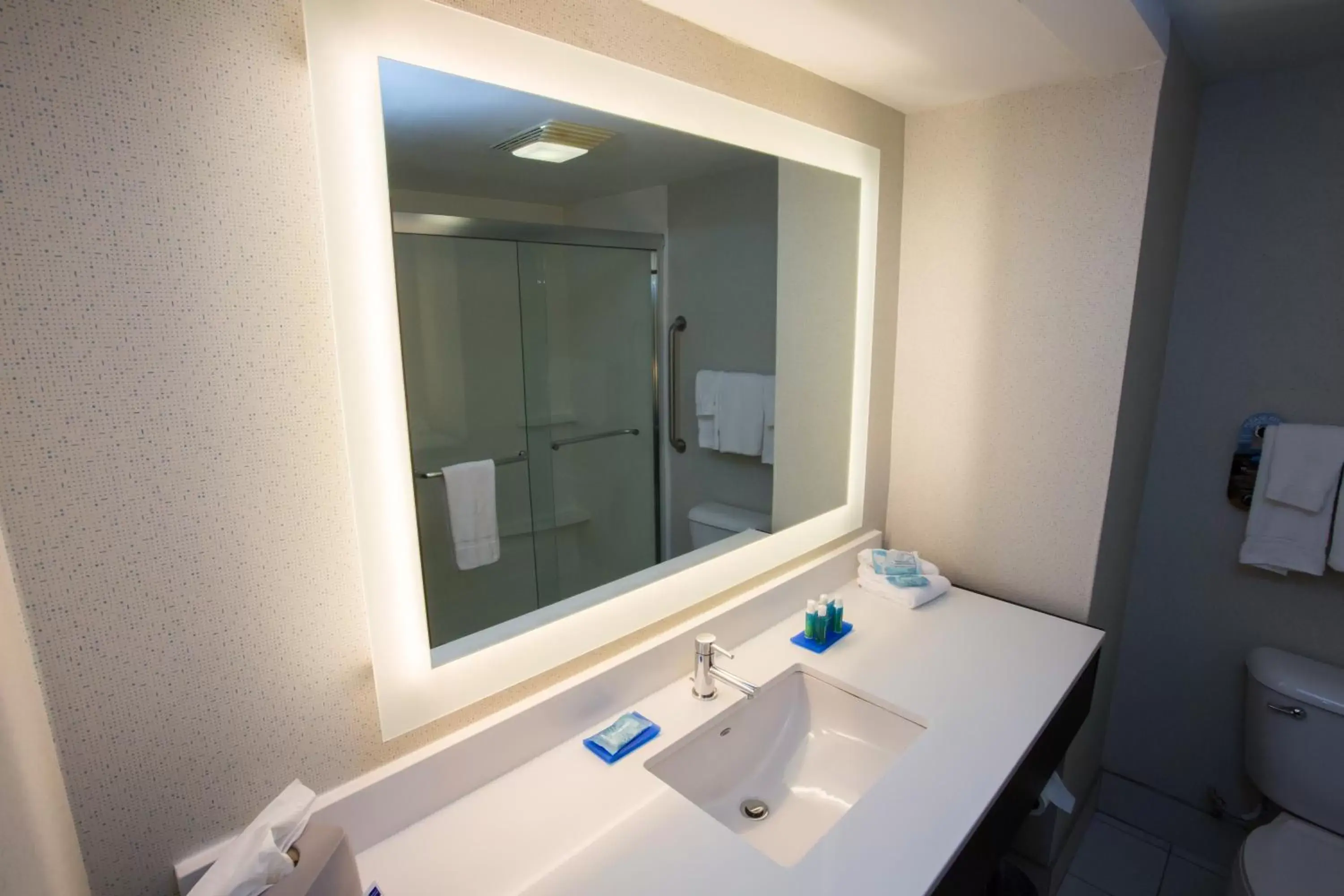 Bathroom in Holiday Inn Express Wilmington, an IHG Hotel