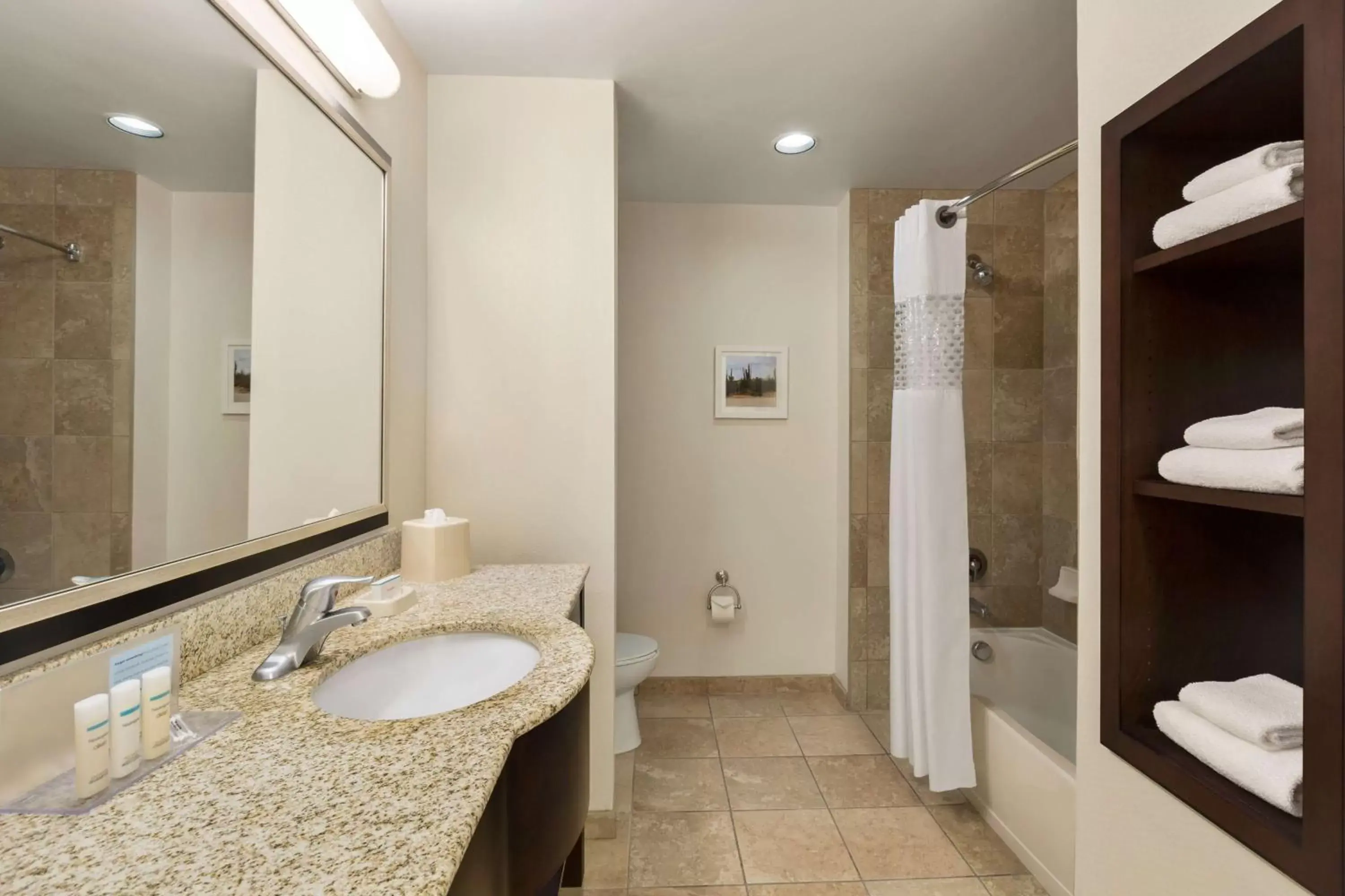Bathroom in Hampton Inn & Suites Phoenix Glendale-Westgate
