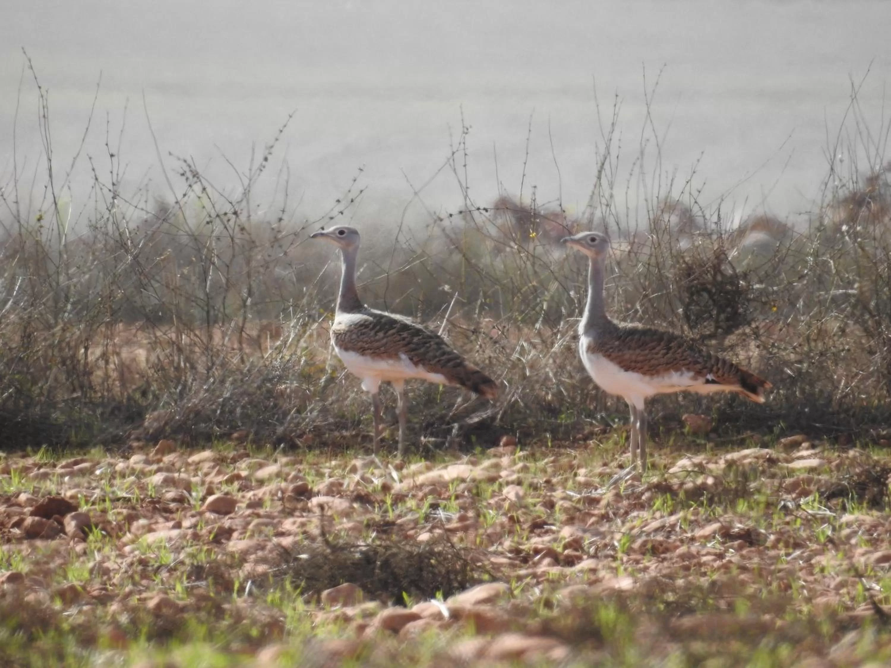 Activities in Finca El Romeral