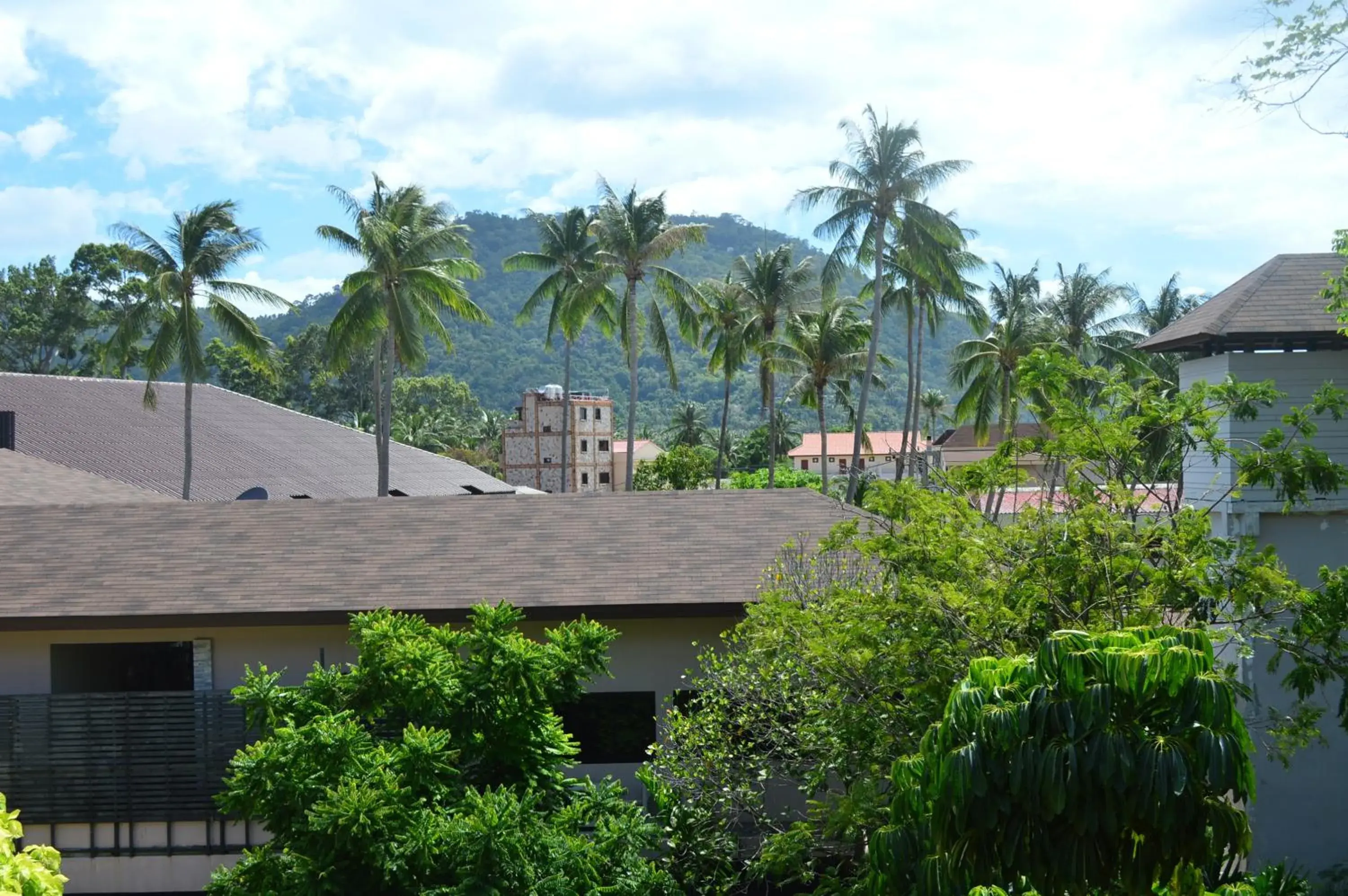 View (from property/room) in Bonny Hotel