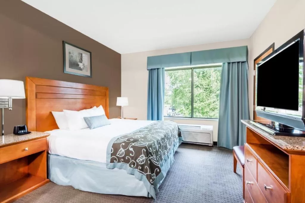 Spark by Hilton Lancaster Dutch Country