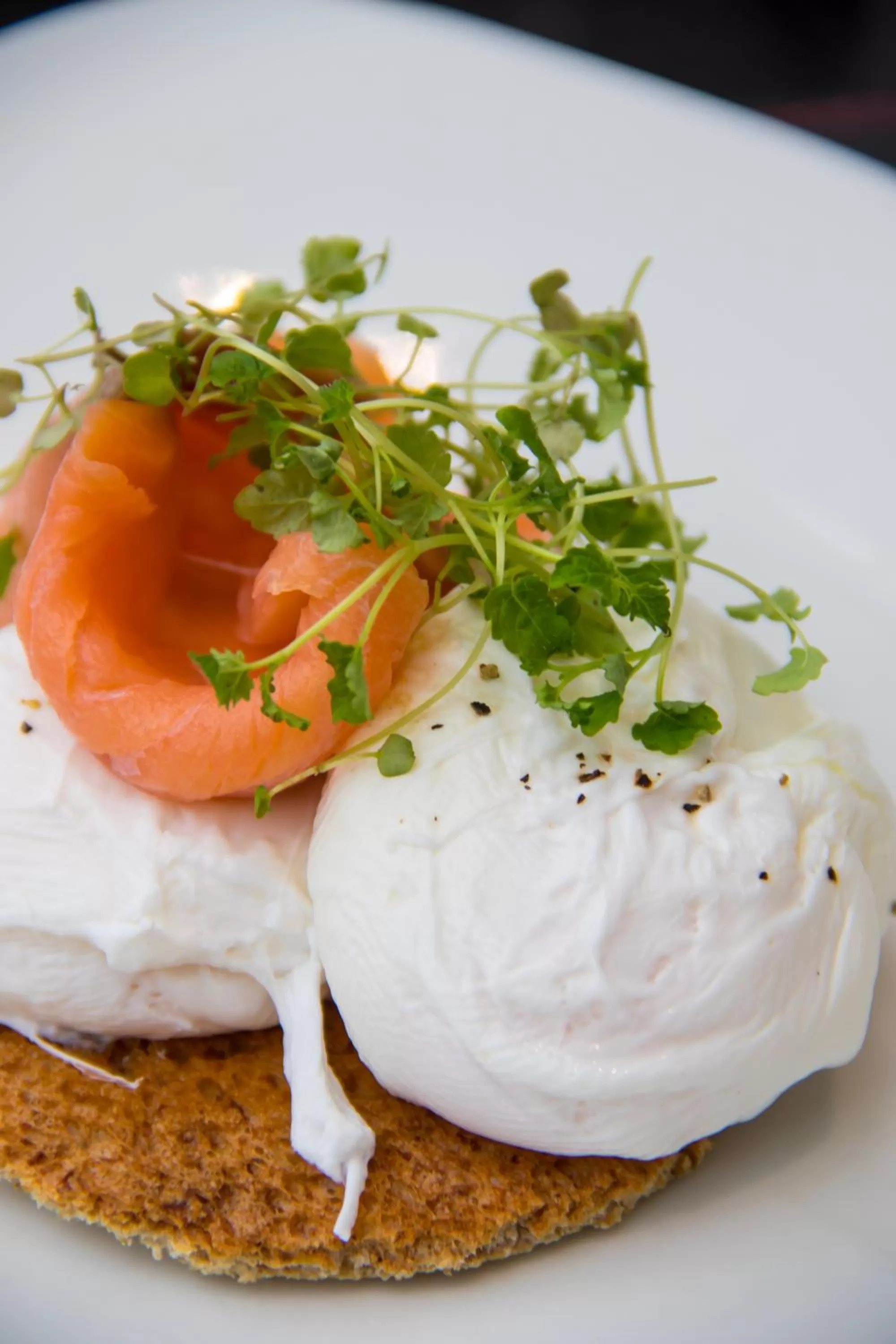 Food close-up in A Park View Hotel