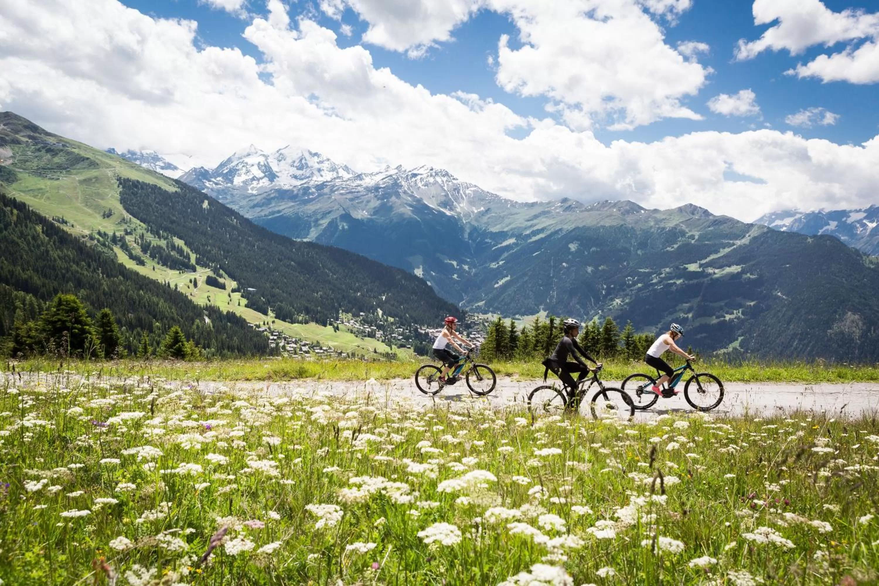 Cycling in W Verbier