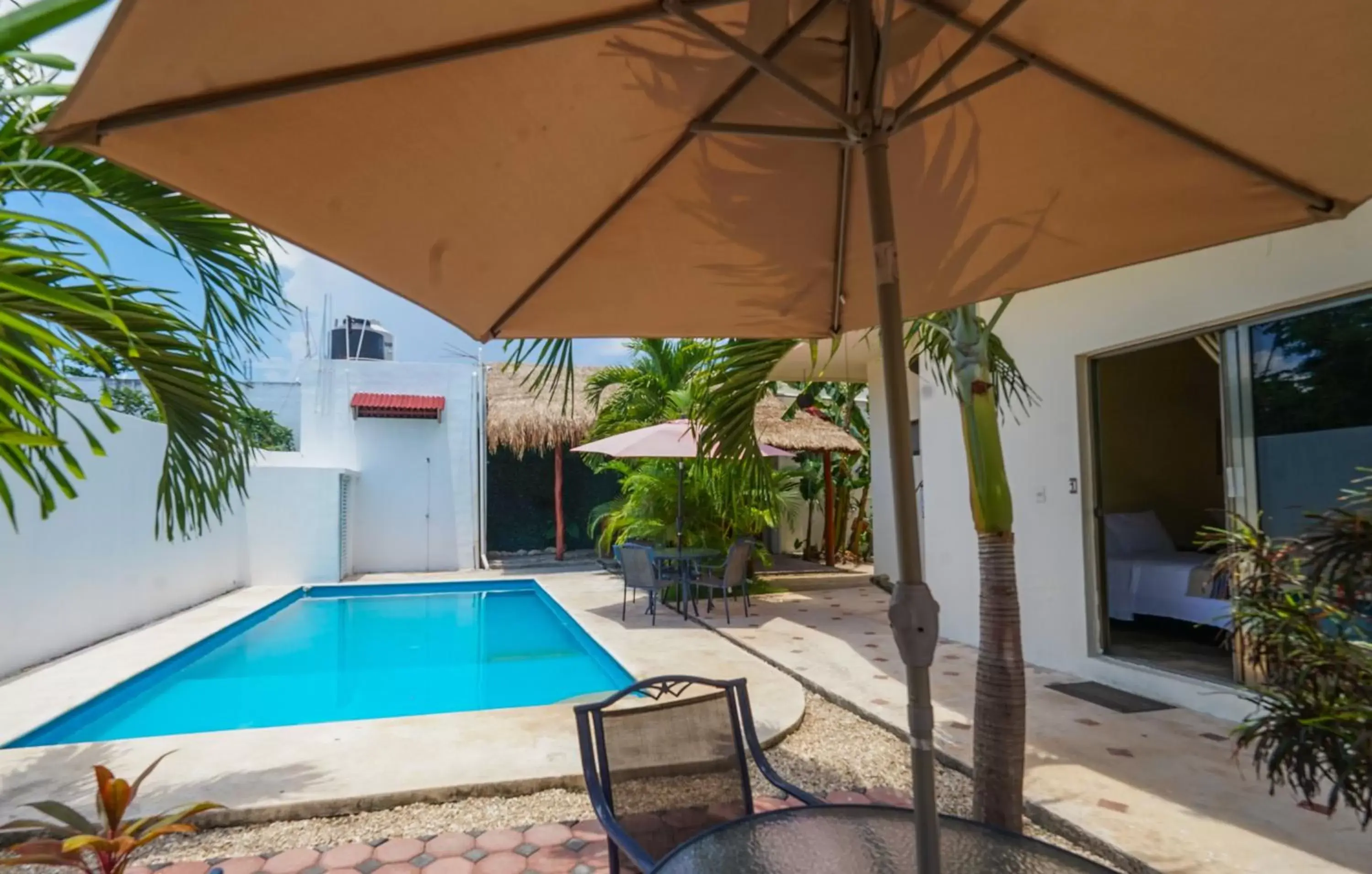 Swimming Pool in hotel stella maris tulum