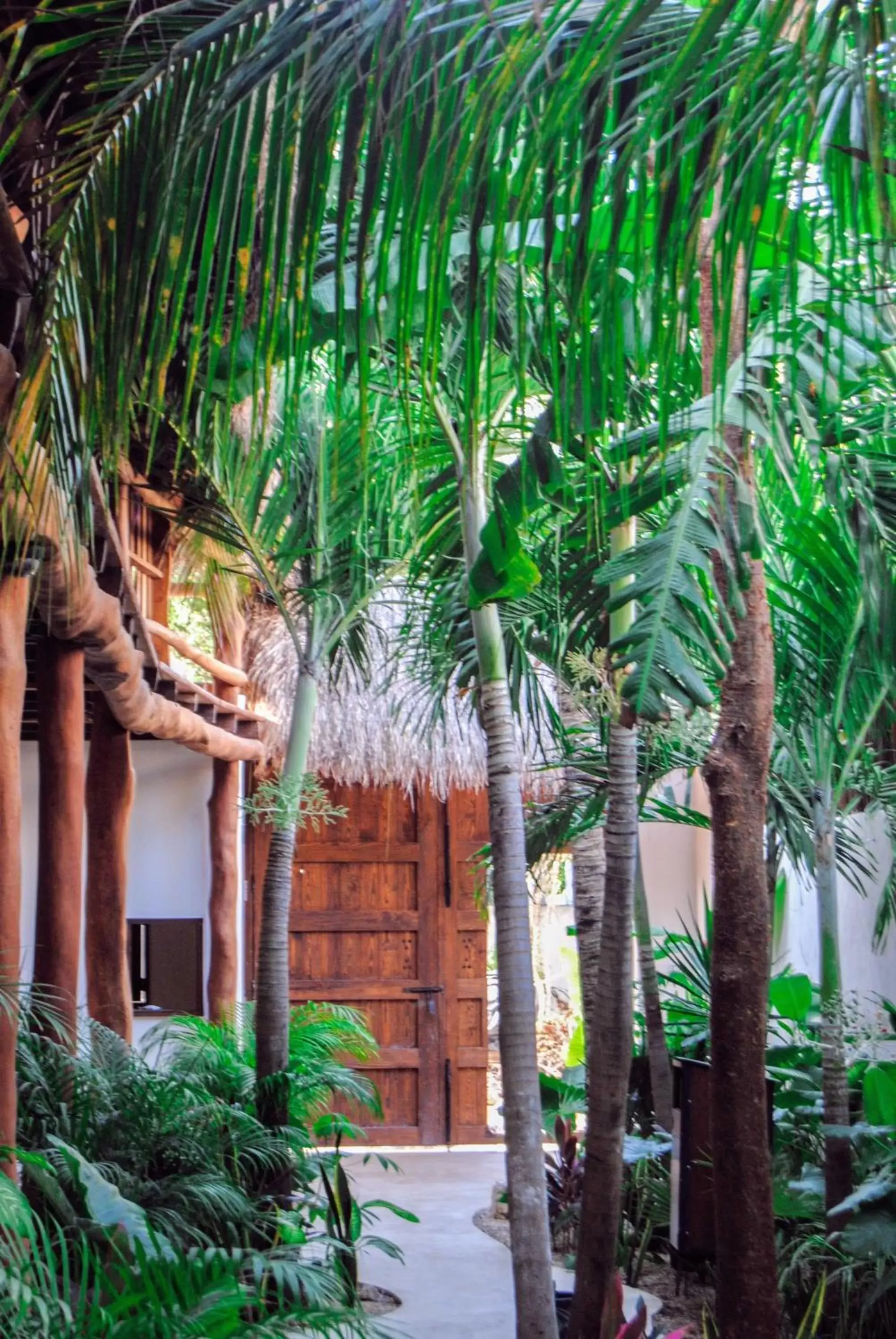 Patio, Property Building in Hotel Boutique TerraNova