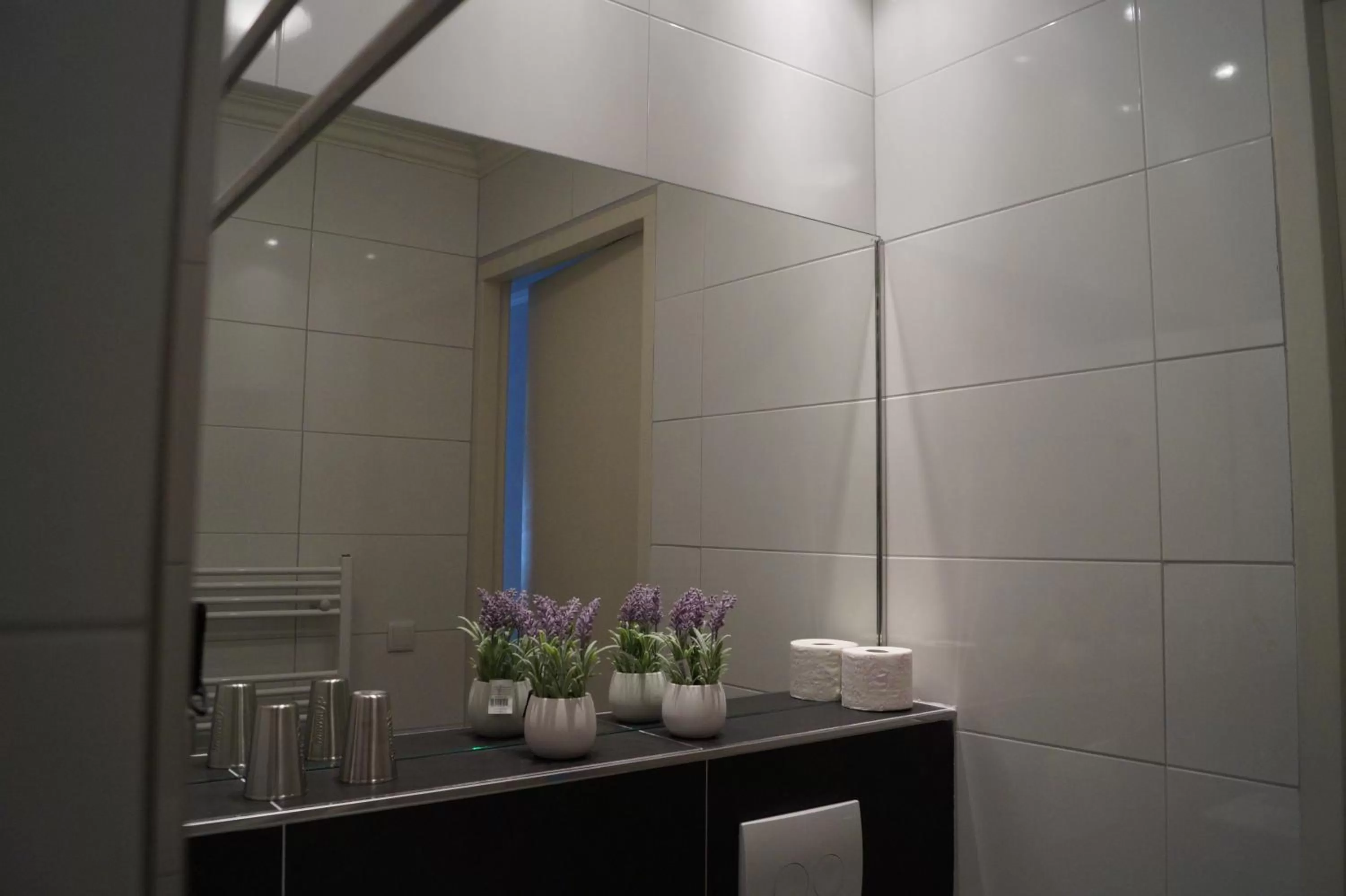 Bathroom in B&B Johannes-Hoeve