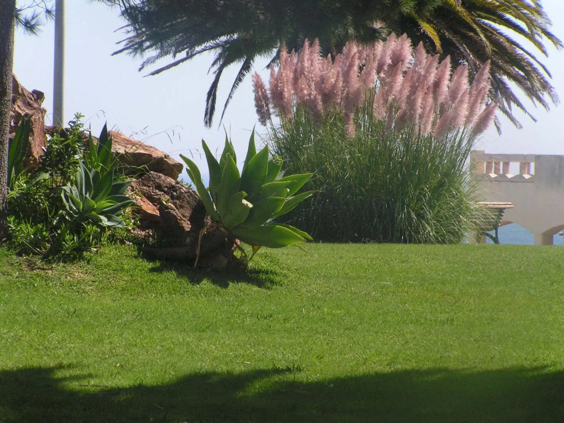 Garden in Iberlagos