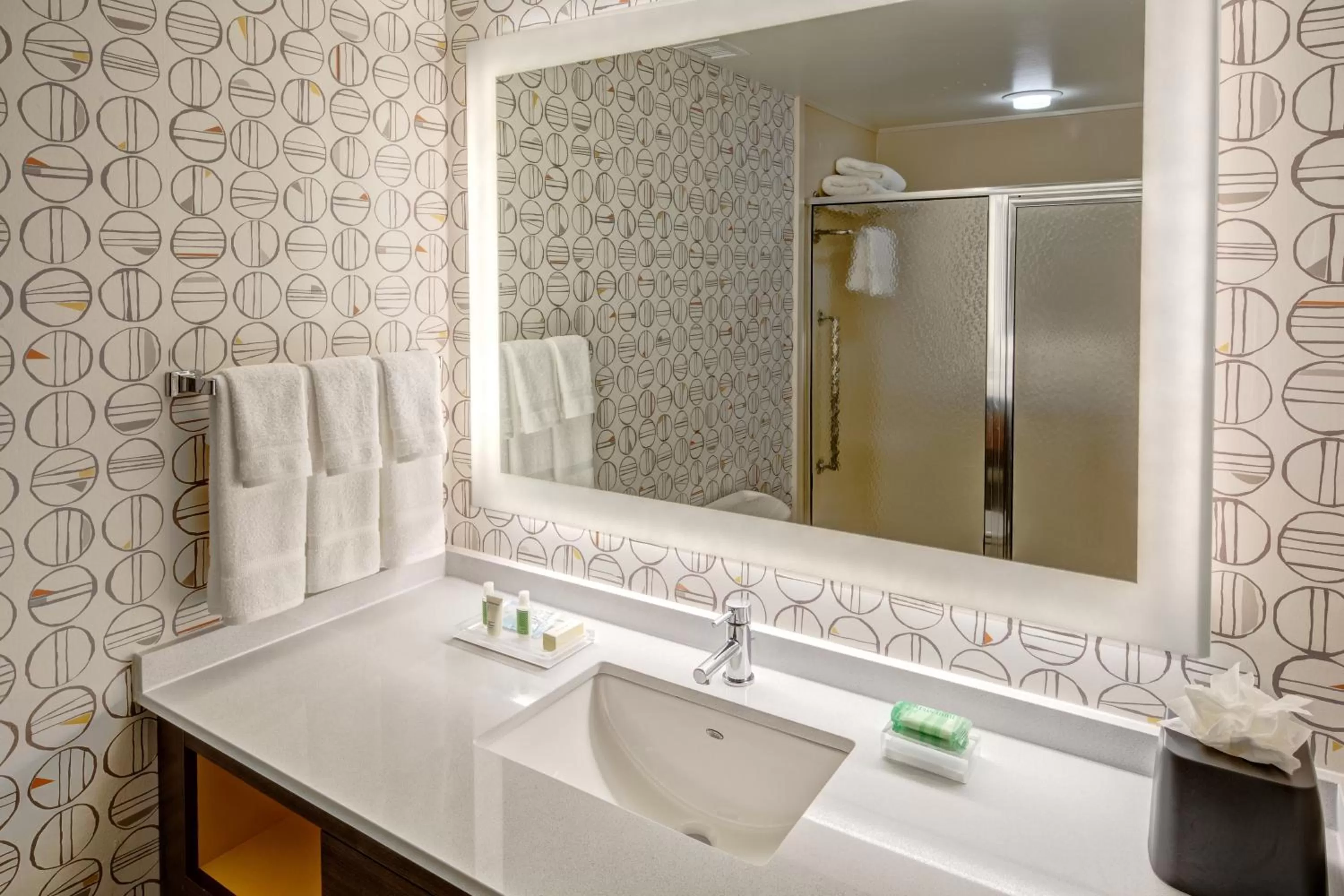 Standard  Room in Holiday Inn Rocky Mount I-95 @ US 64, an IHG Hotel