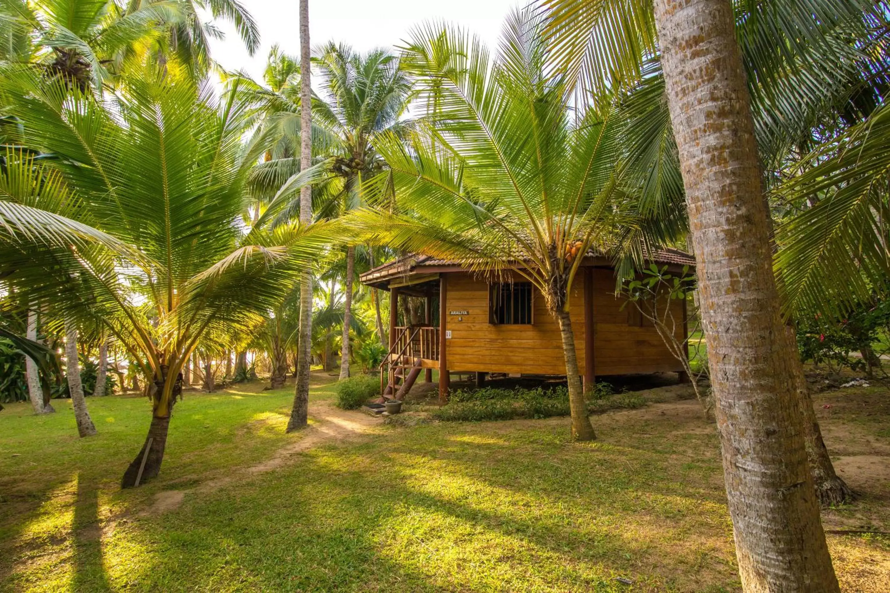 Garden view, Property Building in Palm Paradise Cabanas & Villas Beach Resort