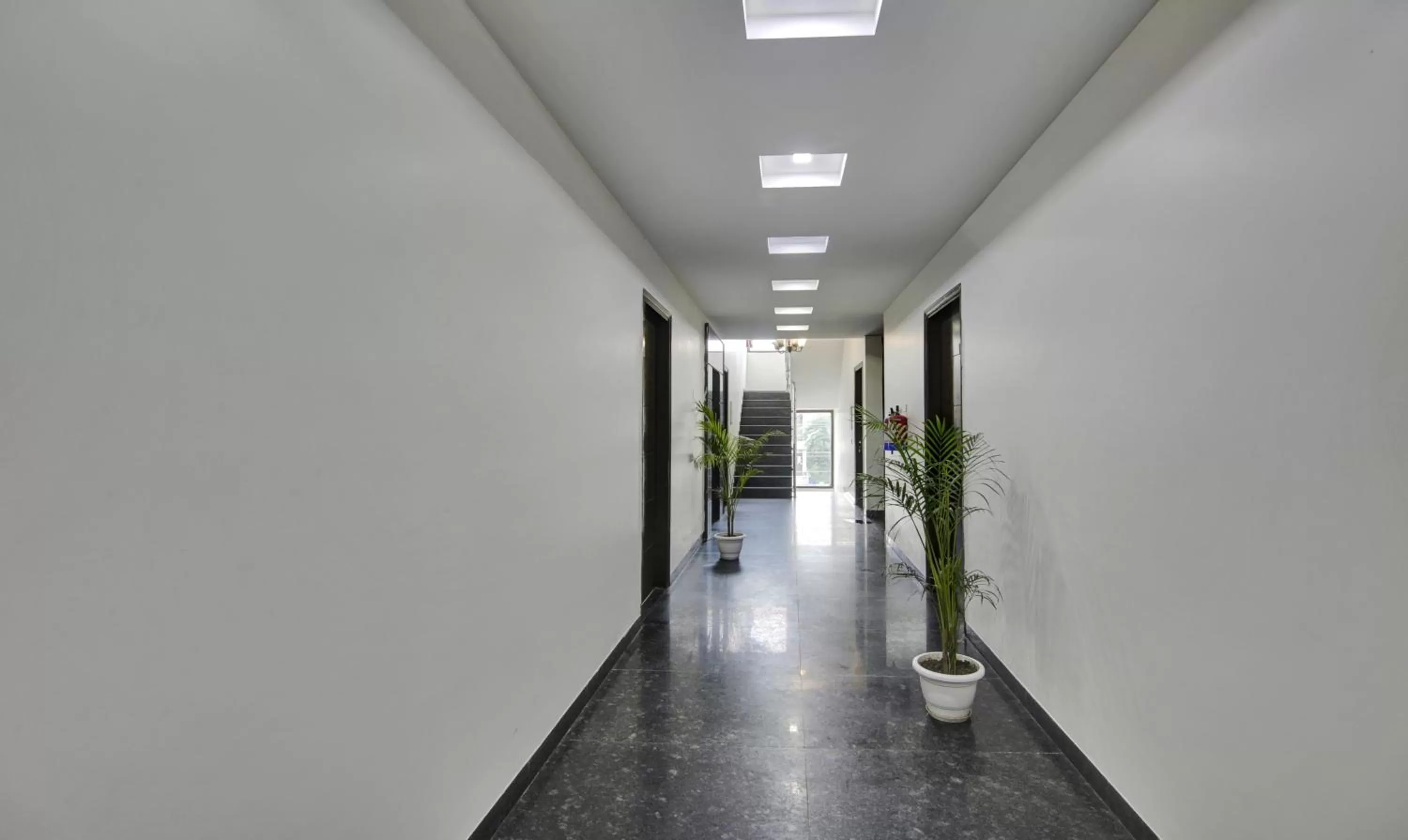 Treebo Trend Apple Pie