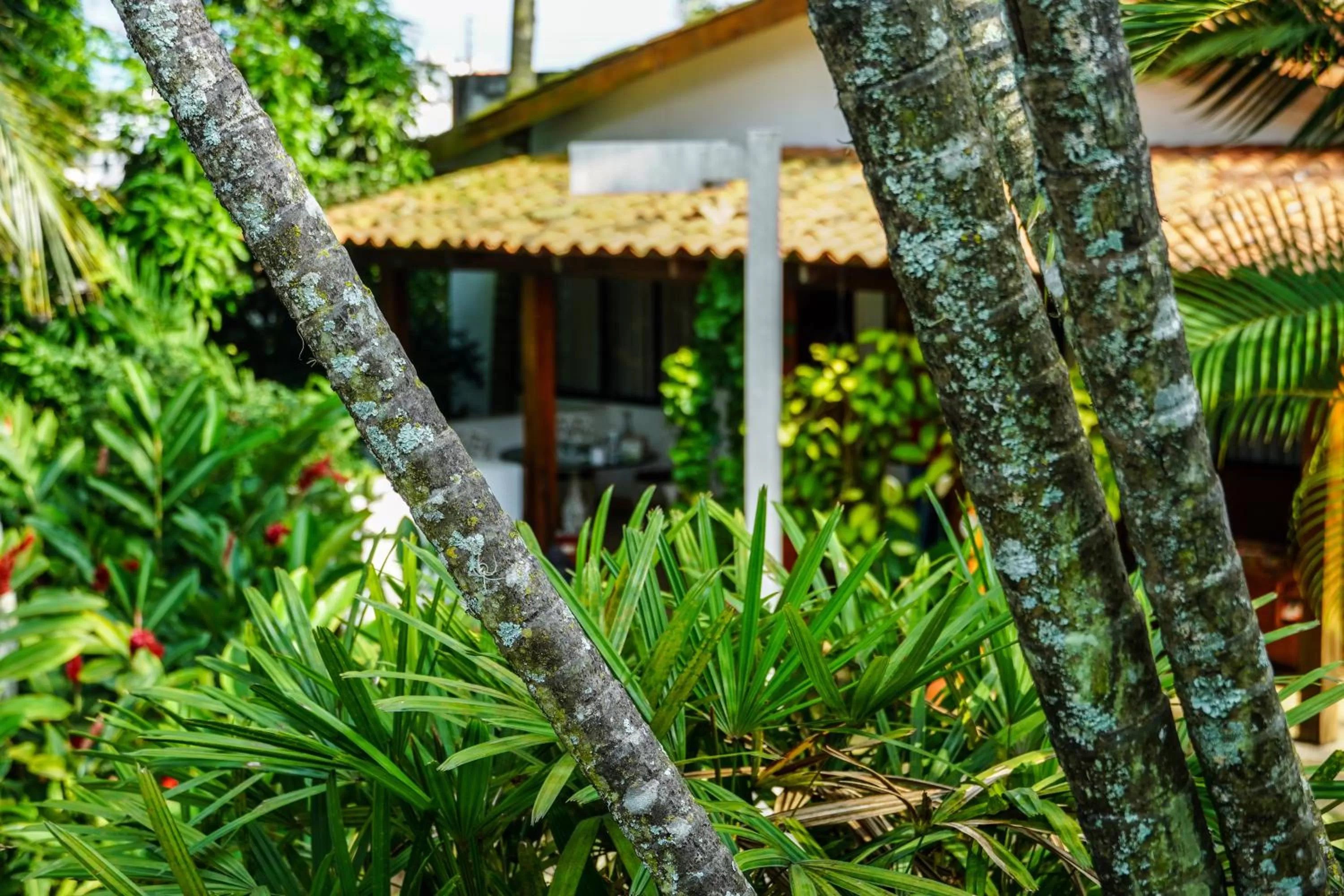 Hotel Boutique Villa Casuarinas