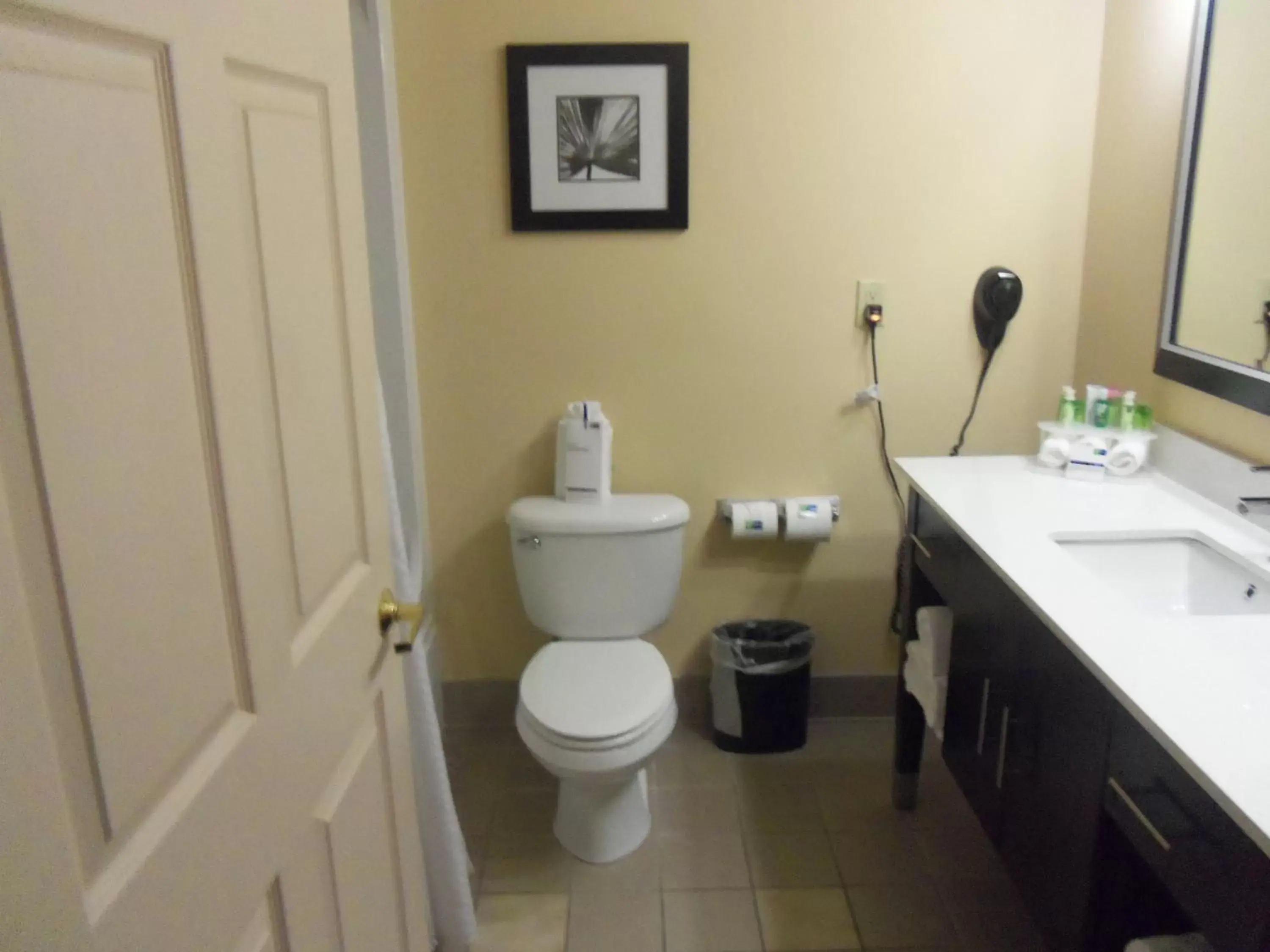 Bathroom in Holiday Inn Express Hotel & Suites Sanford, an IHG Hotel