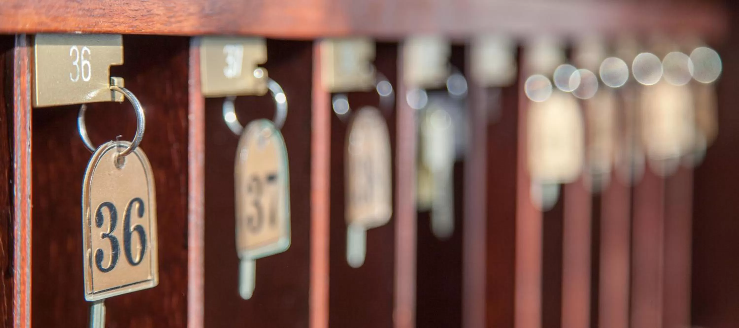 Other in Hotel Atlantis