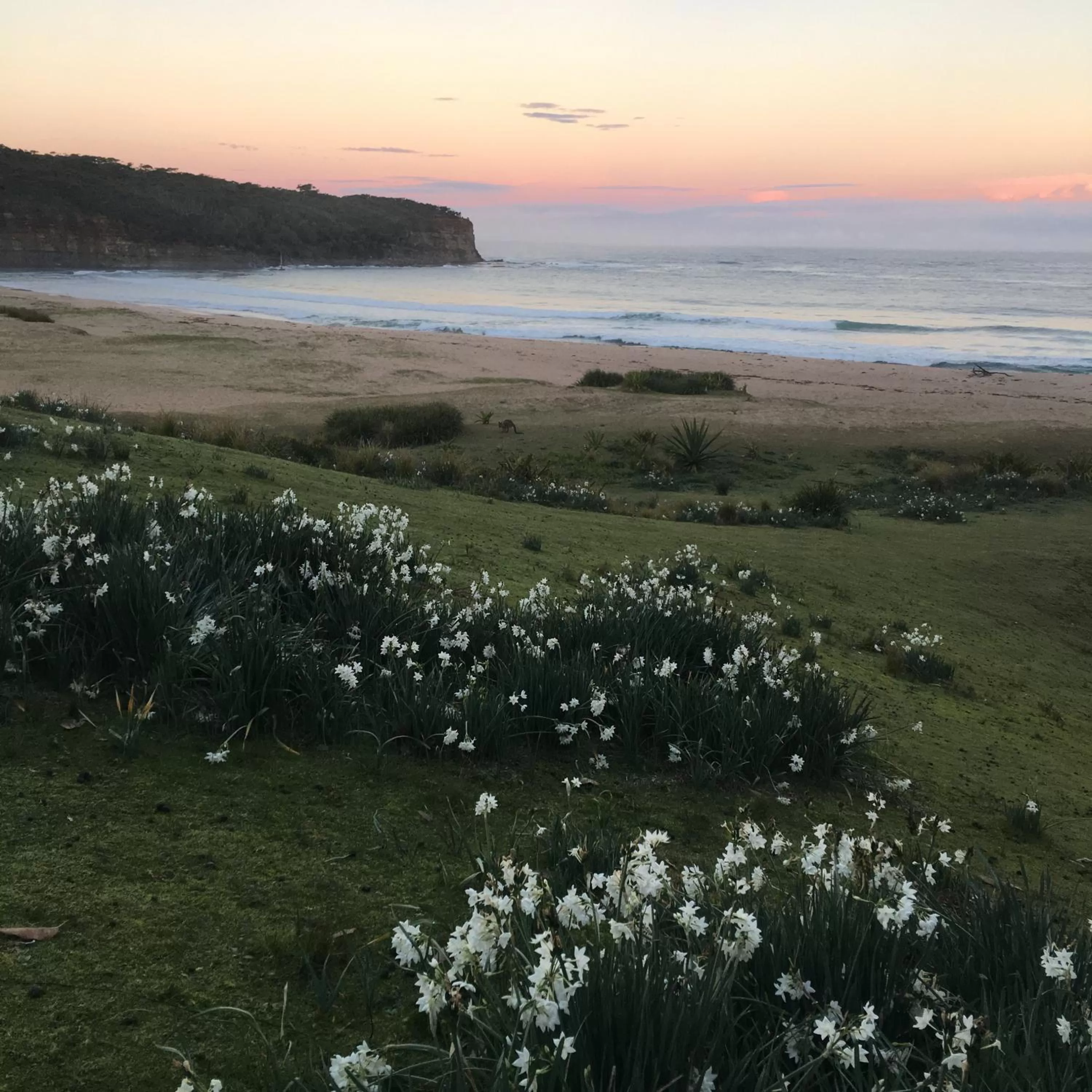 Nearby landmark in Araluen Motor Lodge