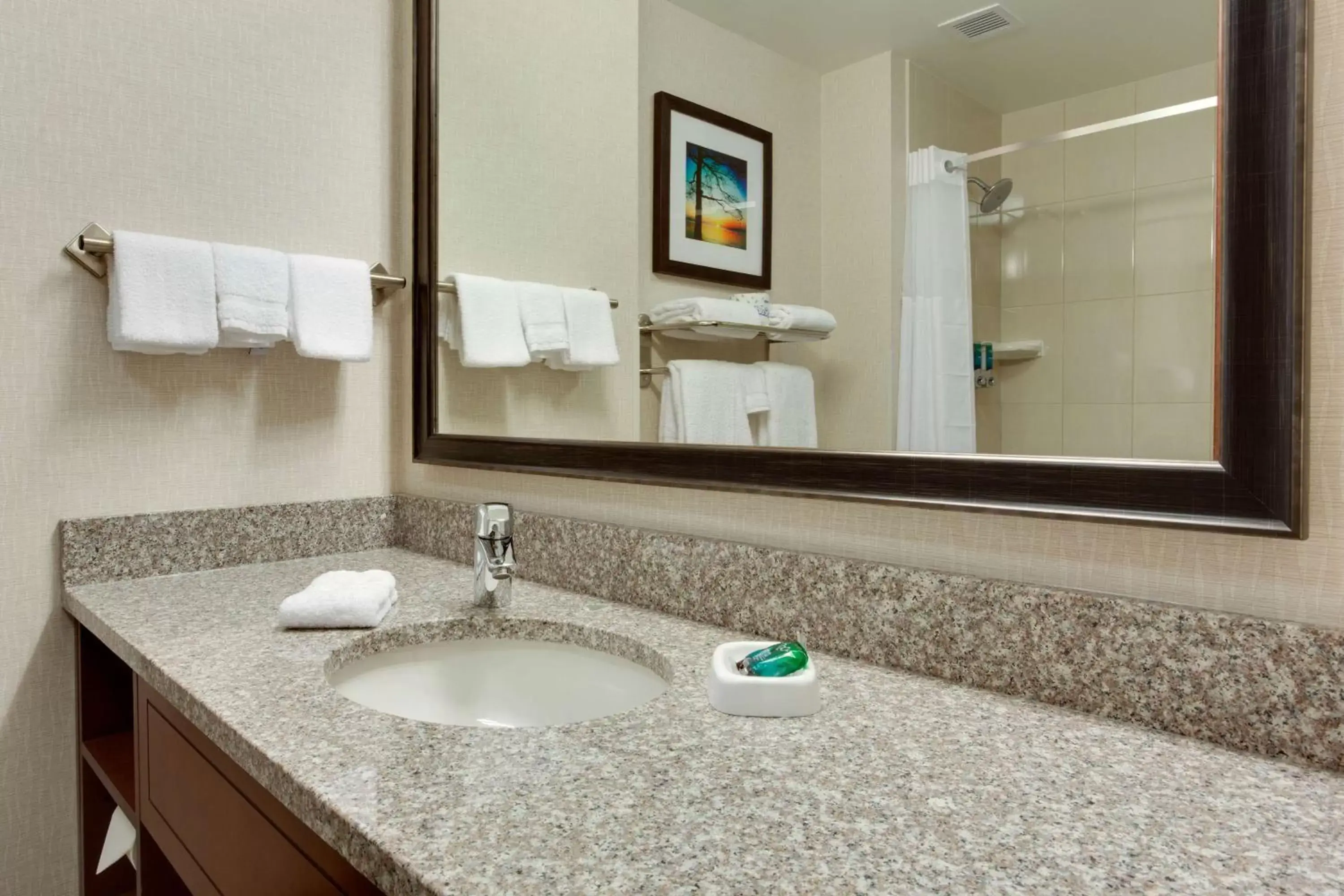 Bathroom in Drury Inn & Suites Charlotte Arrowood