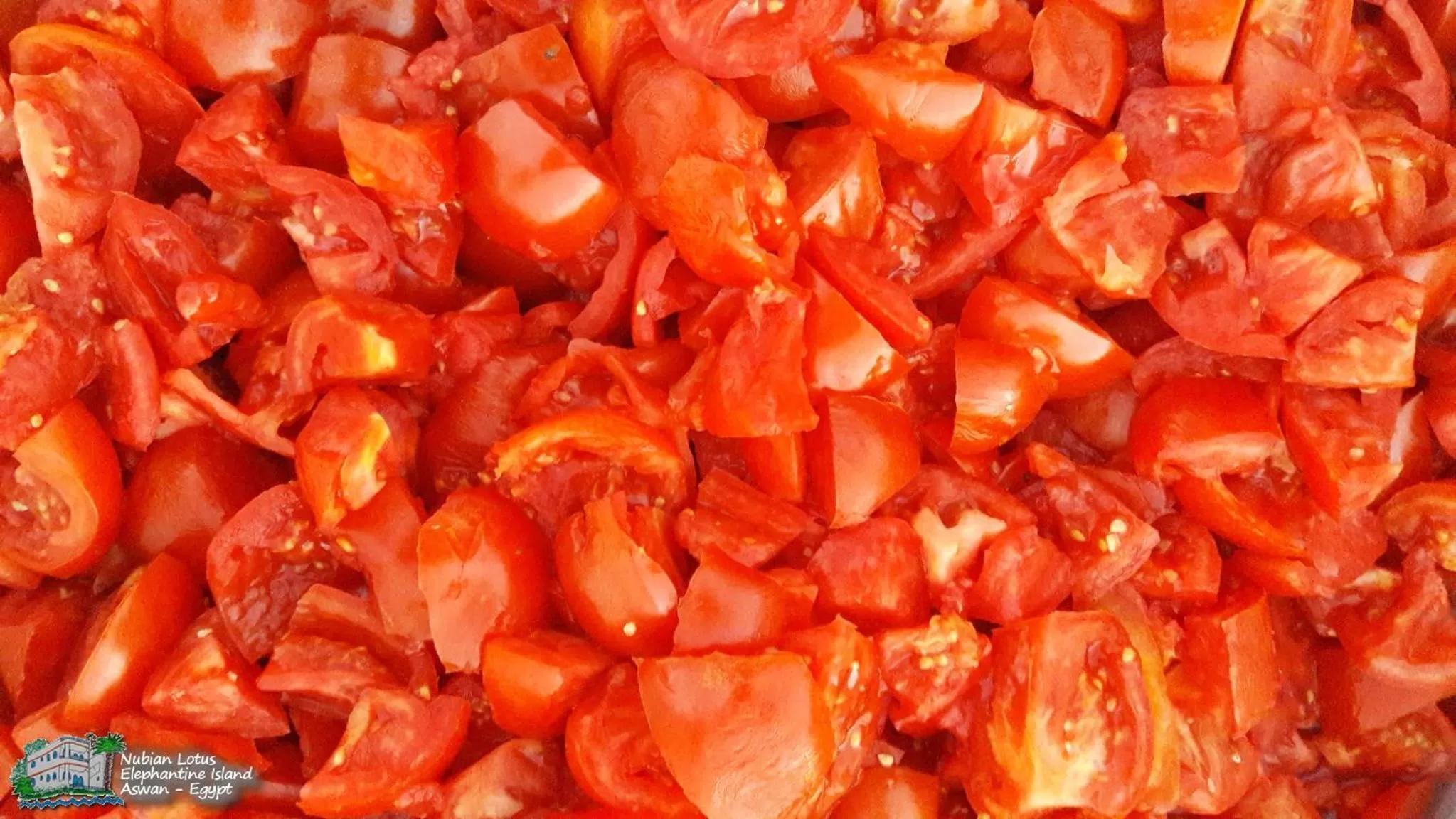 Restaurant/places to eat in Nubian Lotus