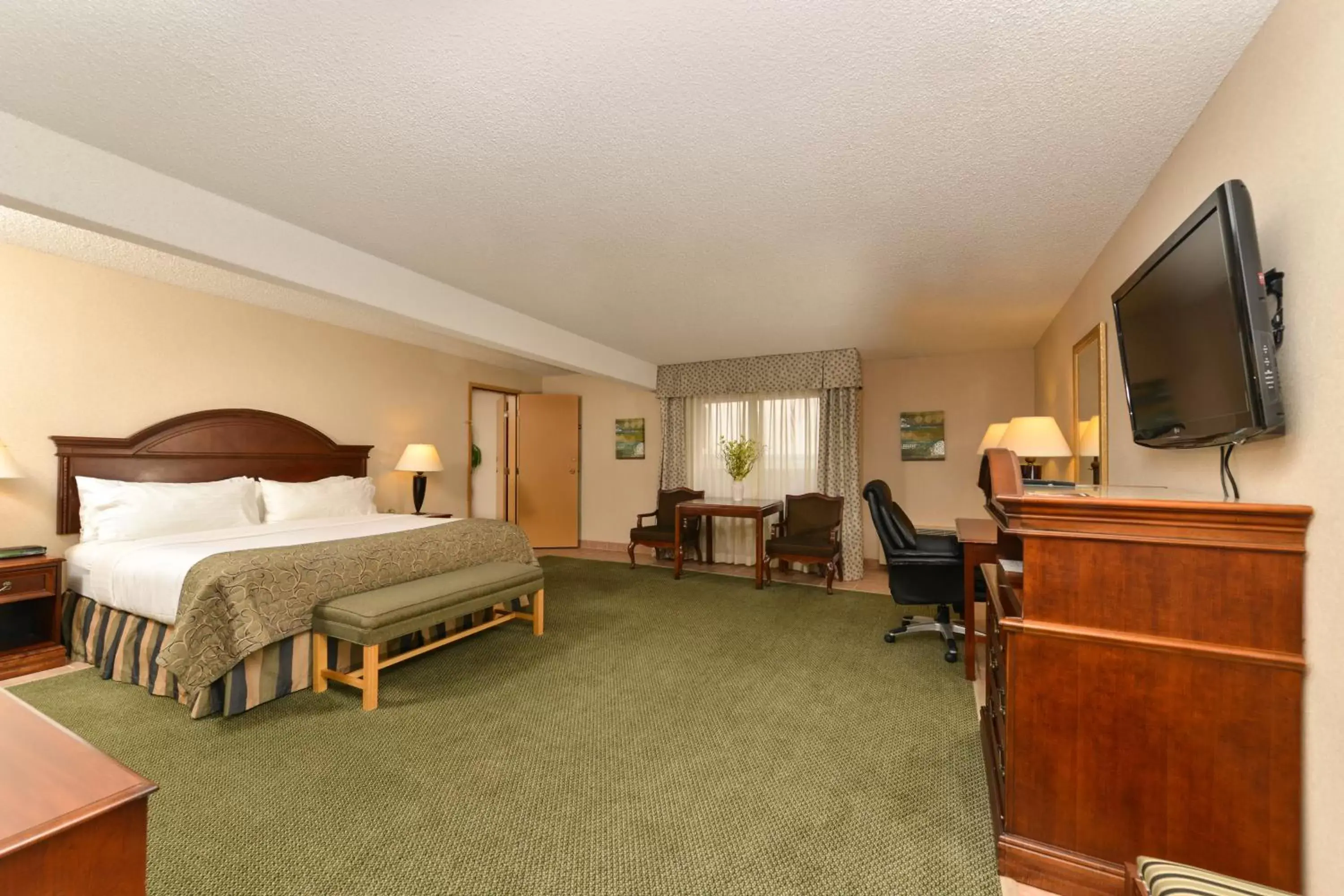 Photo of the whole room in Holiday Inn Great Falls-Convention Center, an IHG Hotel