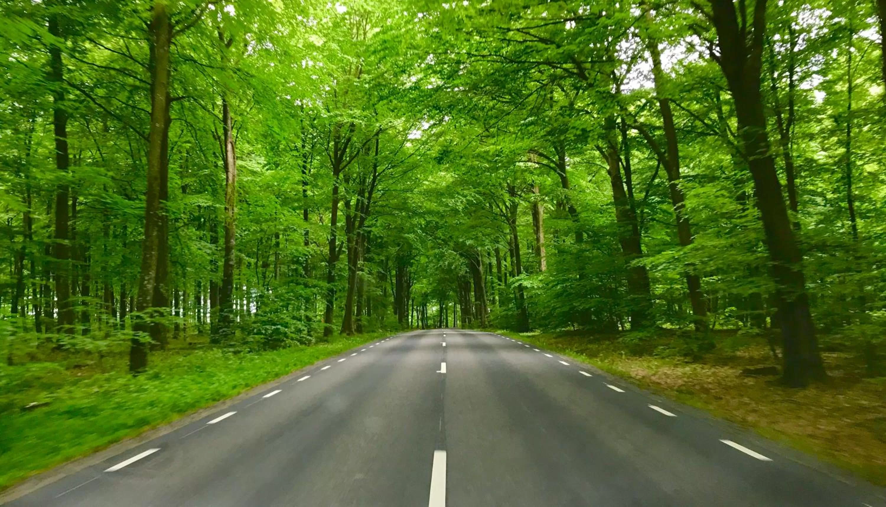 Natural landscape in Tryde 1303 B&B på Österlen