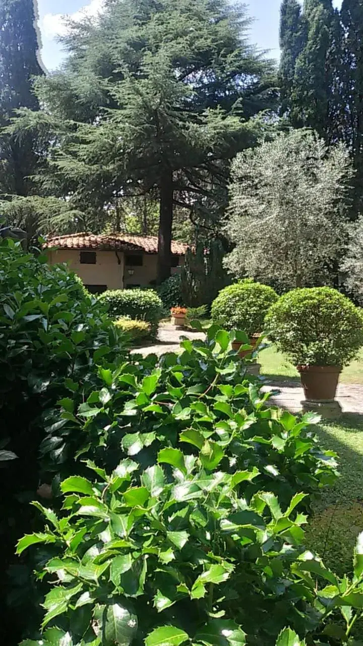 Garden view, Garden in Park Palace Hotel