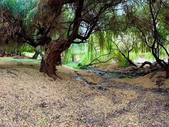 Beach in Glamping Miraflores