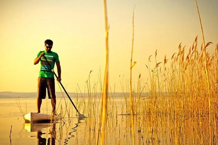 Natural landscape in Seewirt & Haus Attila