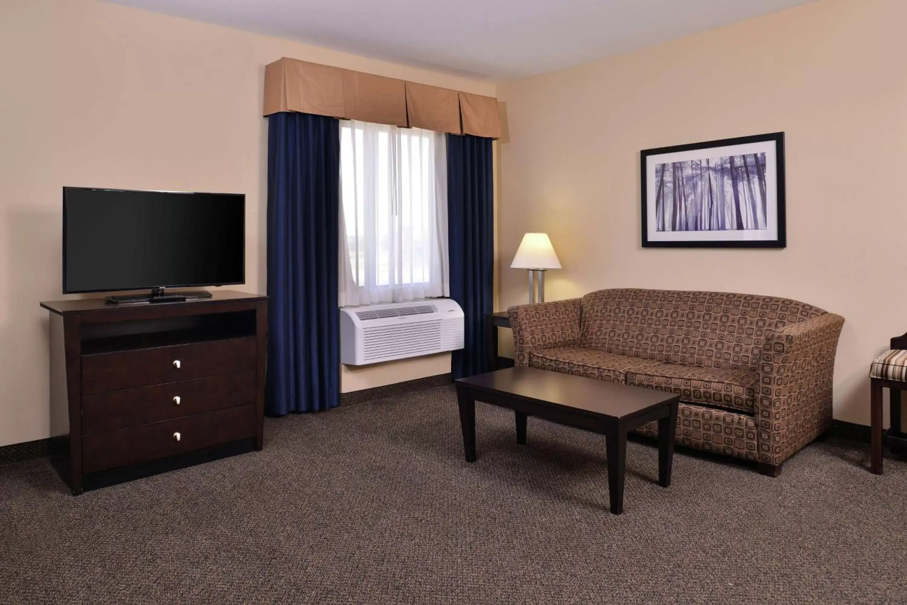 Bedroom, TV/Entertainment Center in Hampton Inn & Suites Woodward
