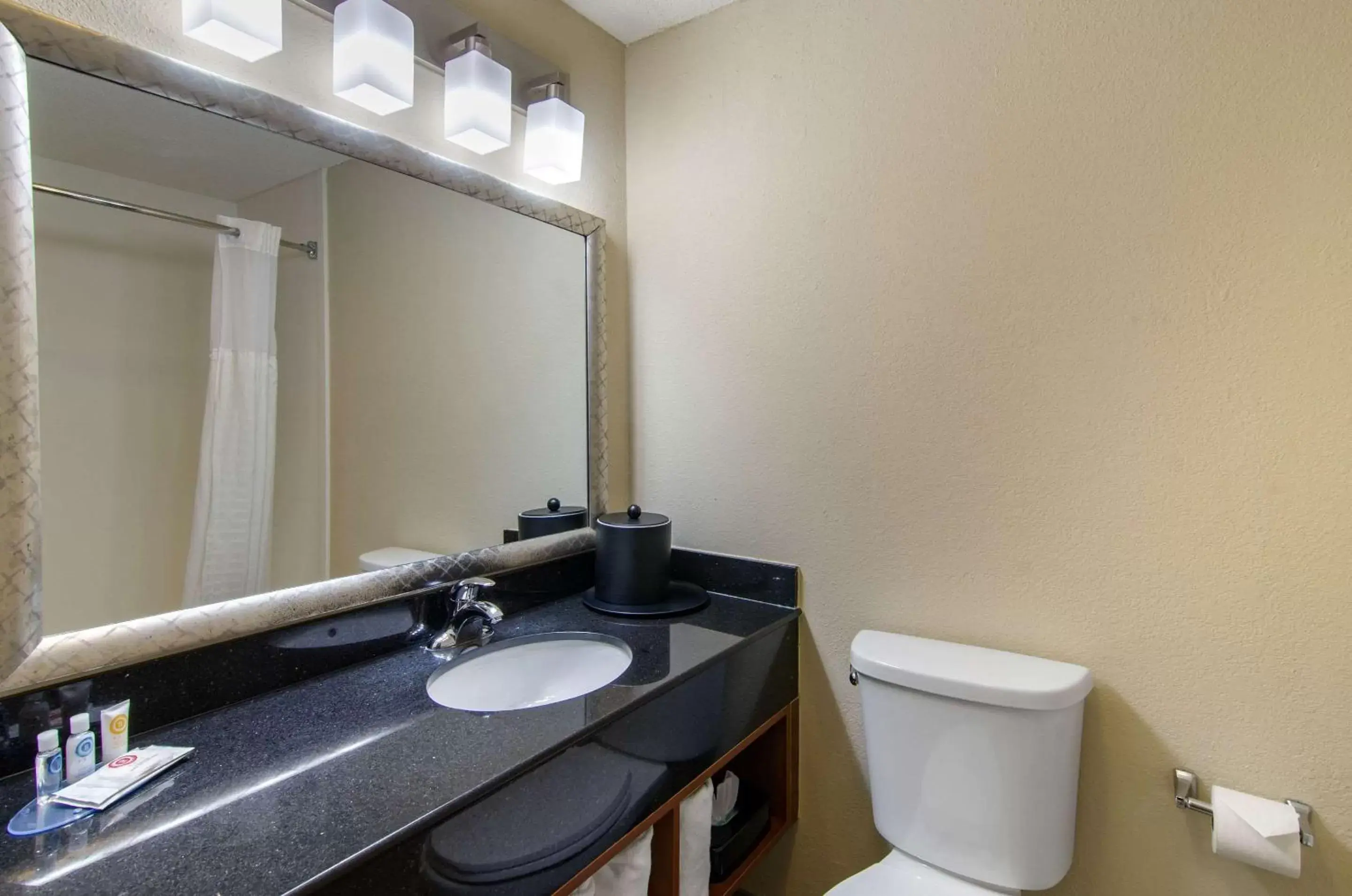 Photo of the whole room, Bathroom in Comfort Inn & Suites Near Worlds of Fun