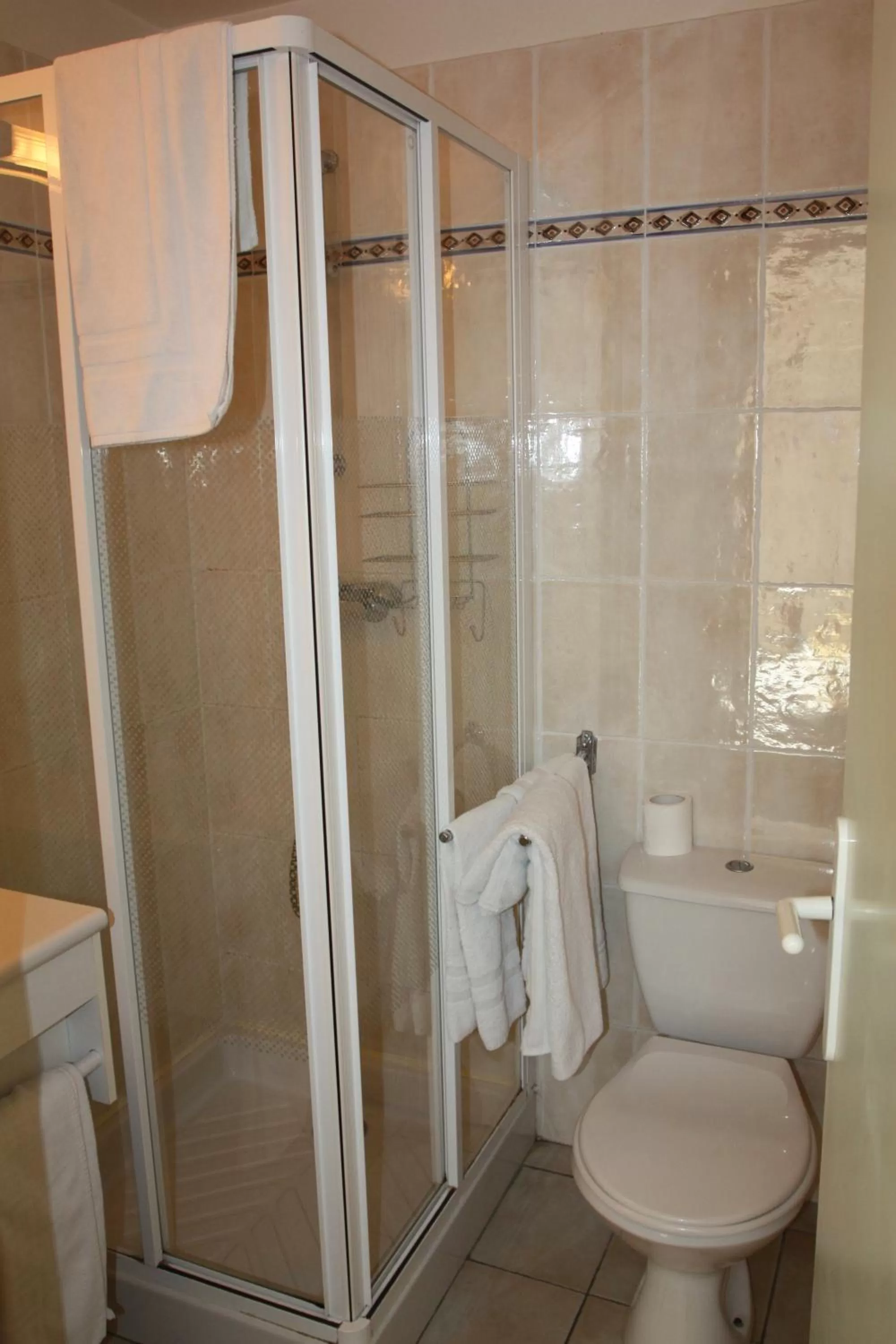 Bathroom in Hôtel Les Tilleuls de Pareloup à Salles-Curan