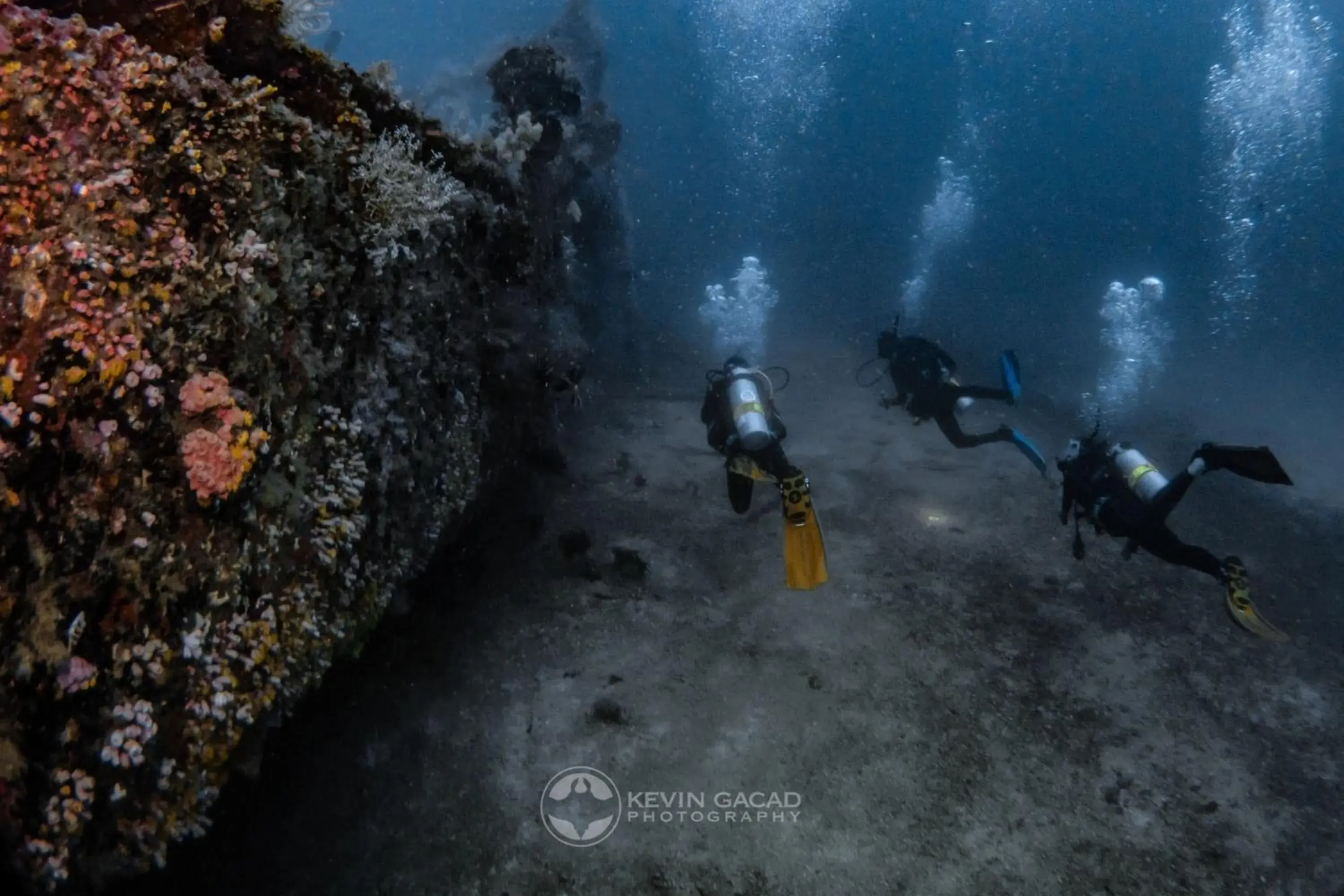 Diving in Badladz Beach and Dive Resort