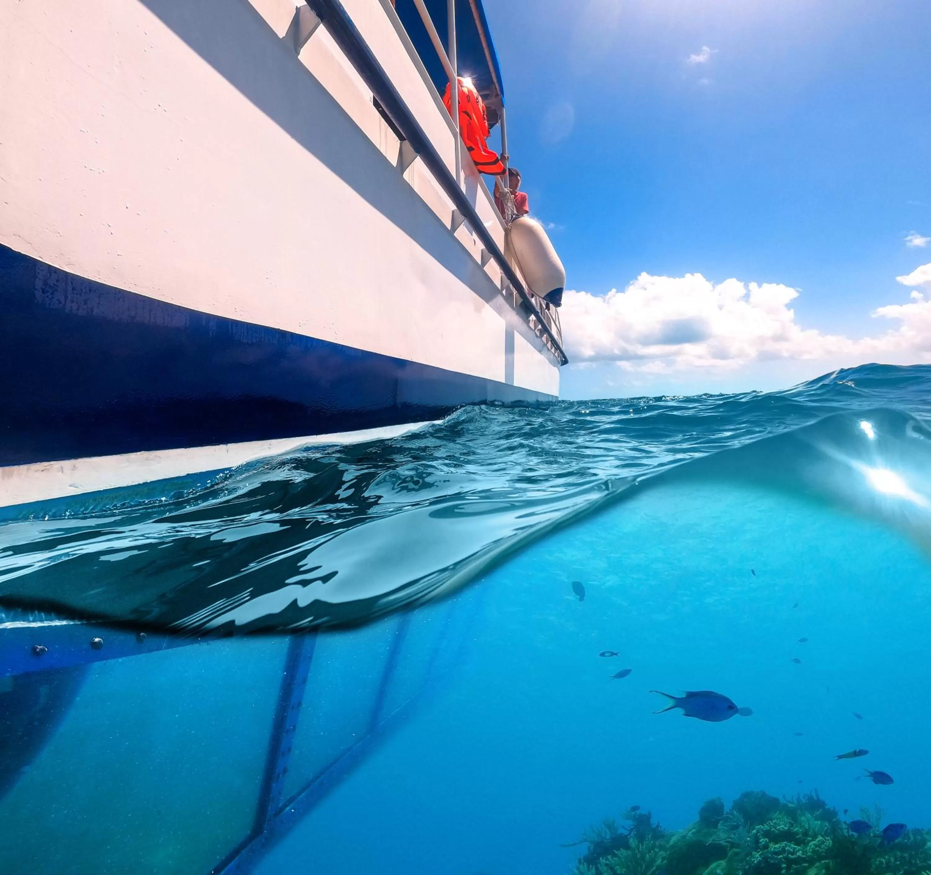 Snorkeling in Enigmatic Hotel Experience