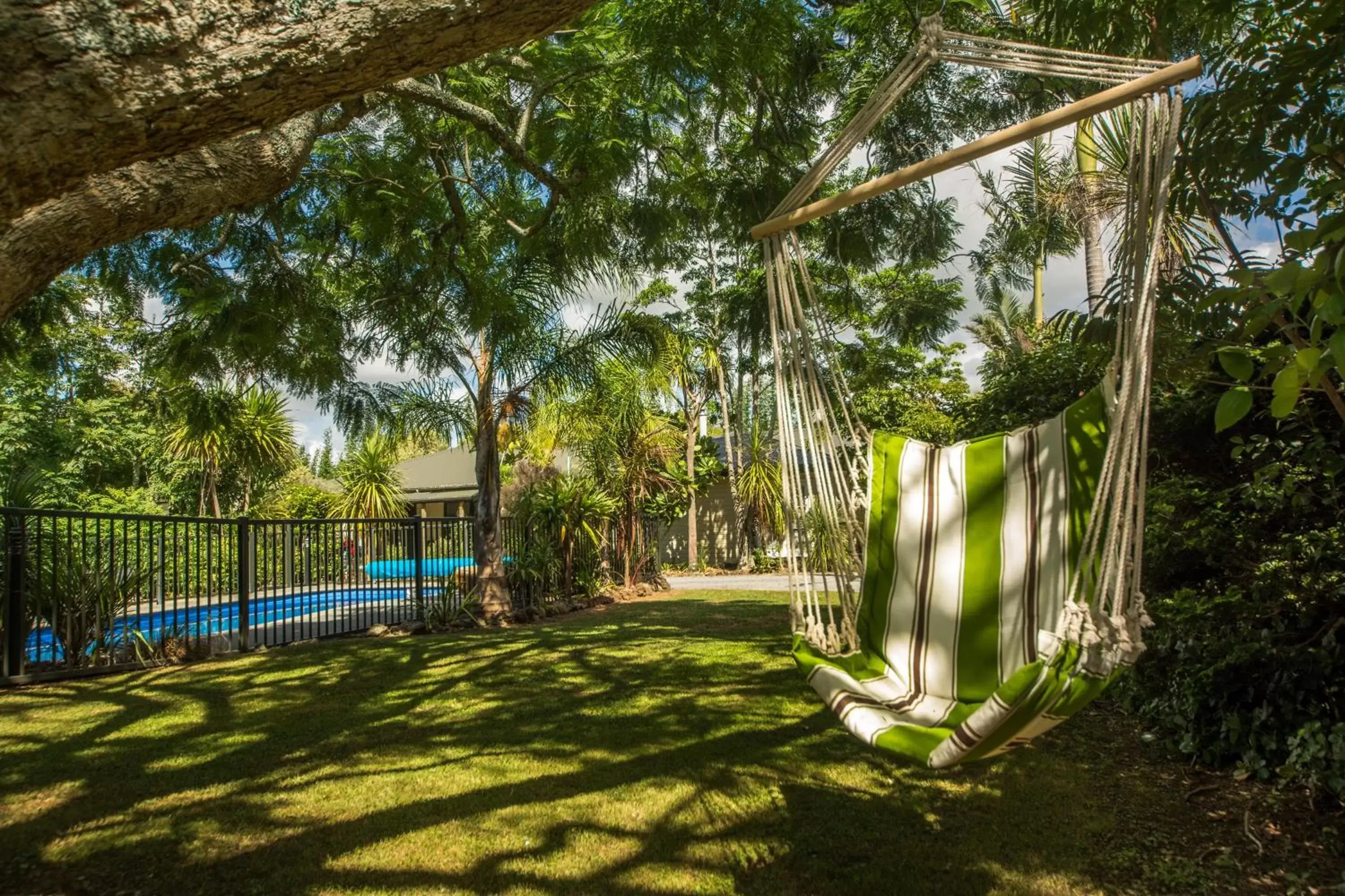 Garden in Kauri Park Motel