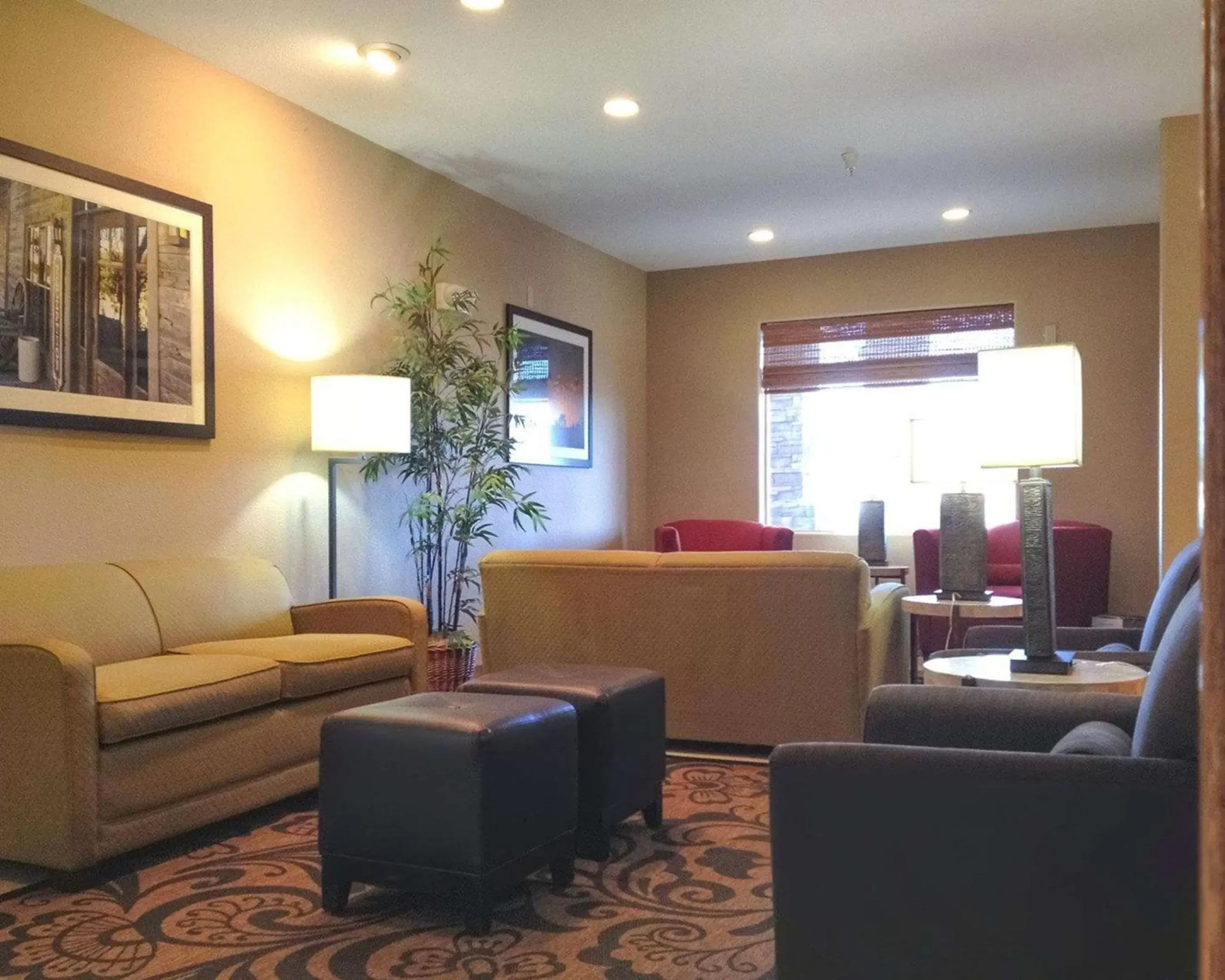 Lobby or reception, Lounge/Bar in Comfort Inn Garden City