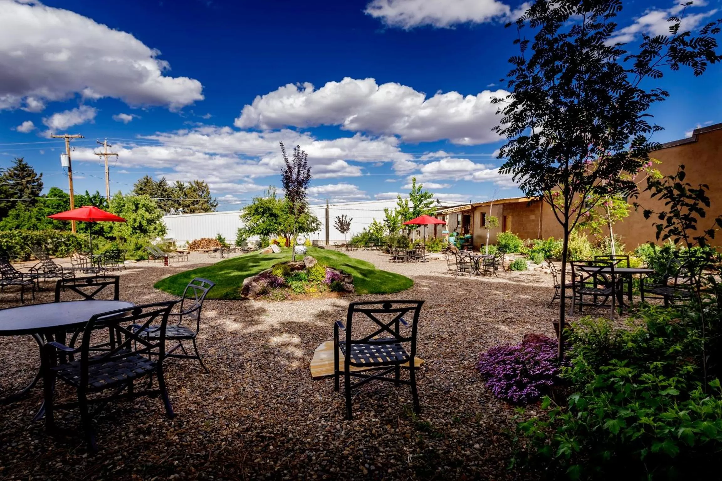 Garden in Stone Lizard Lodge