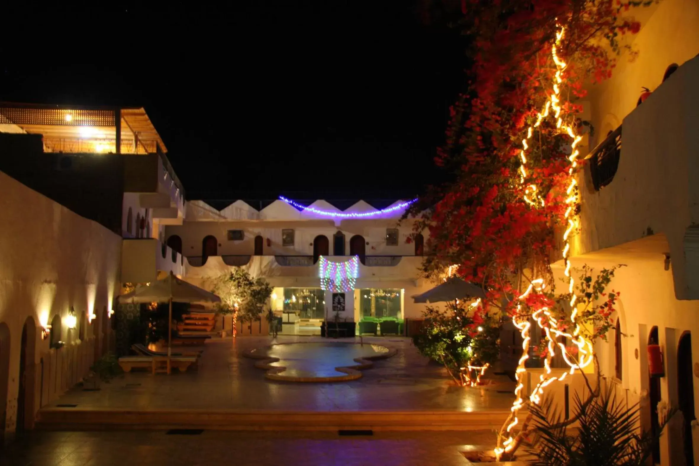 Garden in Dahab Plaza Hotel