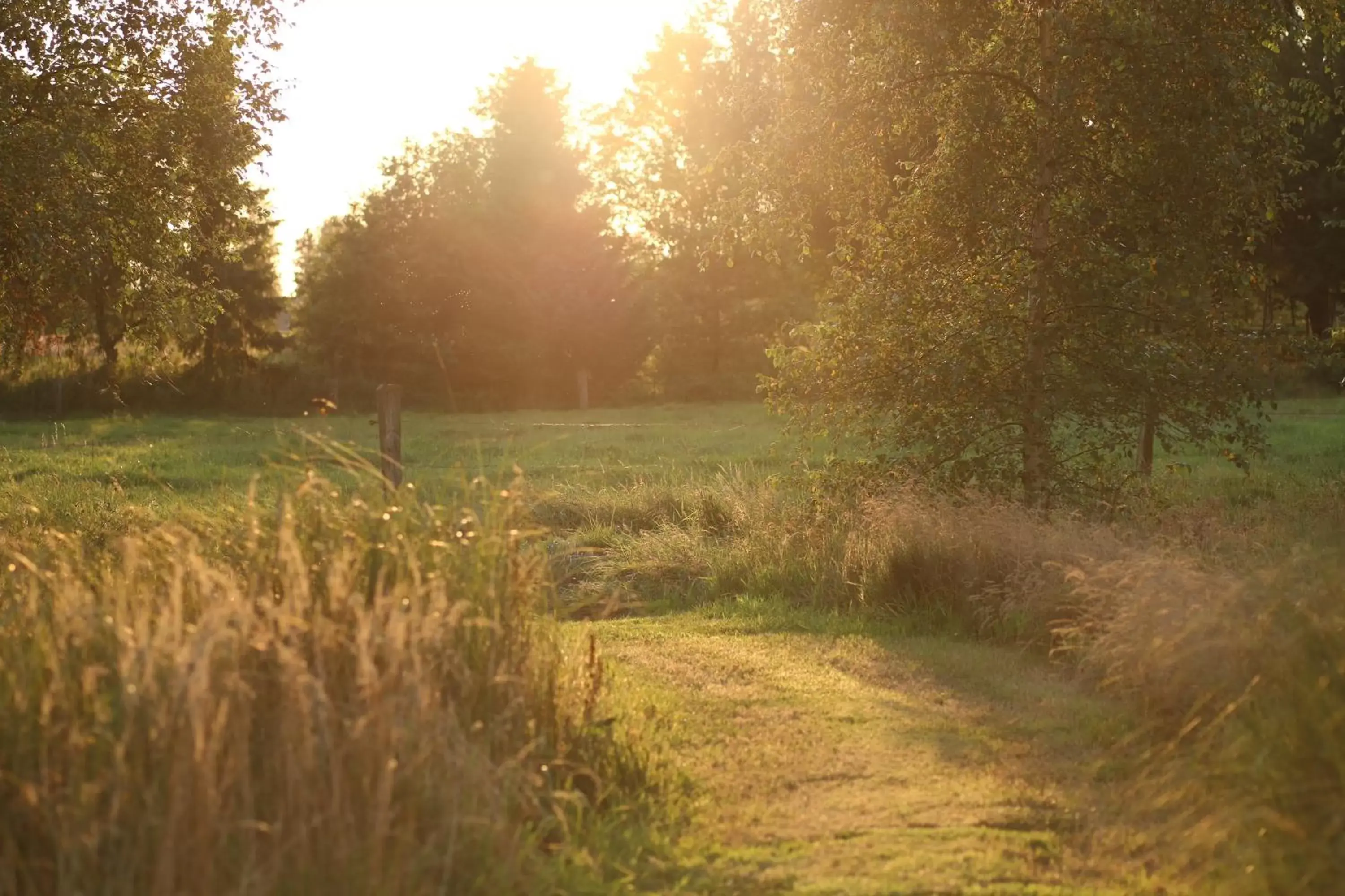 Garden in Buntes Moor