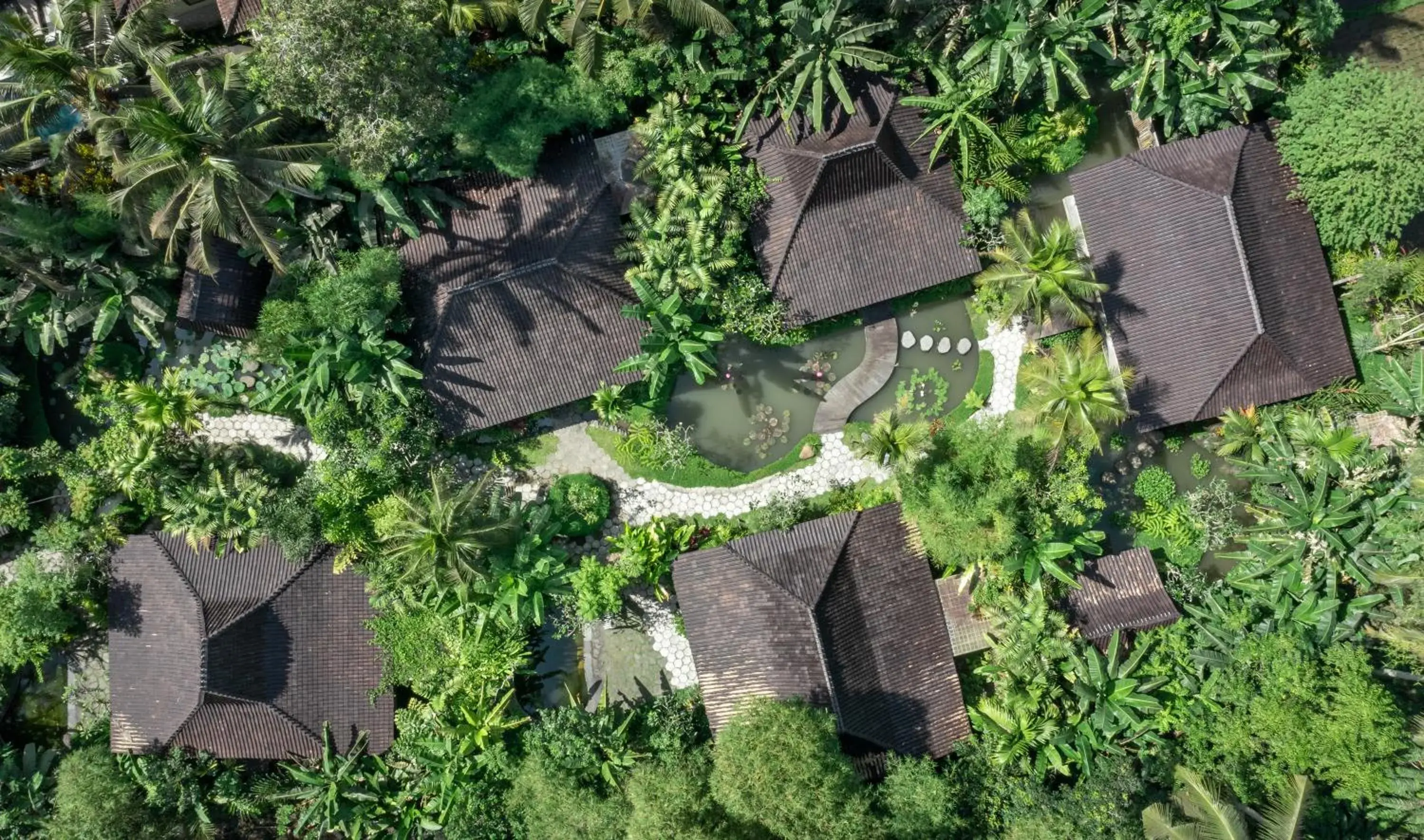 Bird's eye view, Bird's-eye View in Korurua Dijiwa Ubud