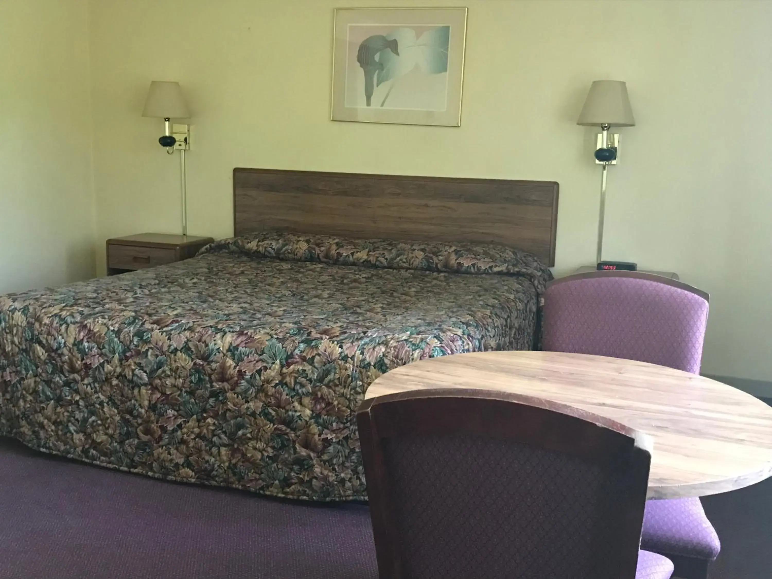 Bed in Allenwood Motel