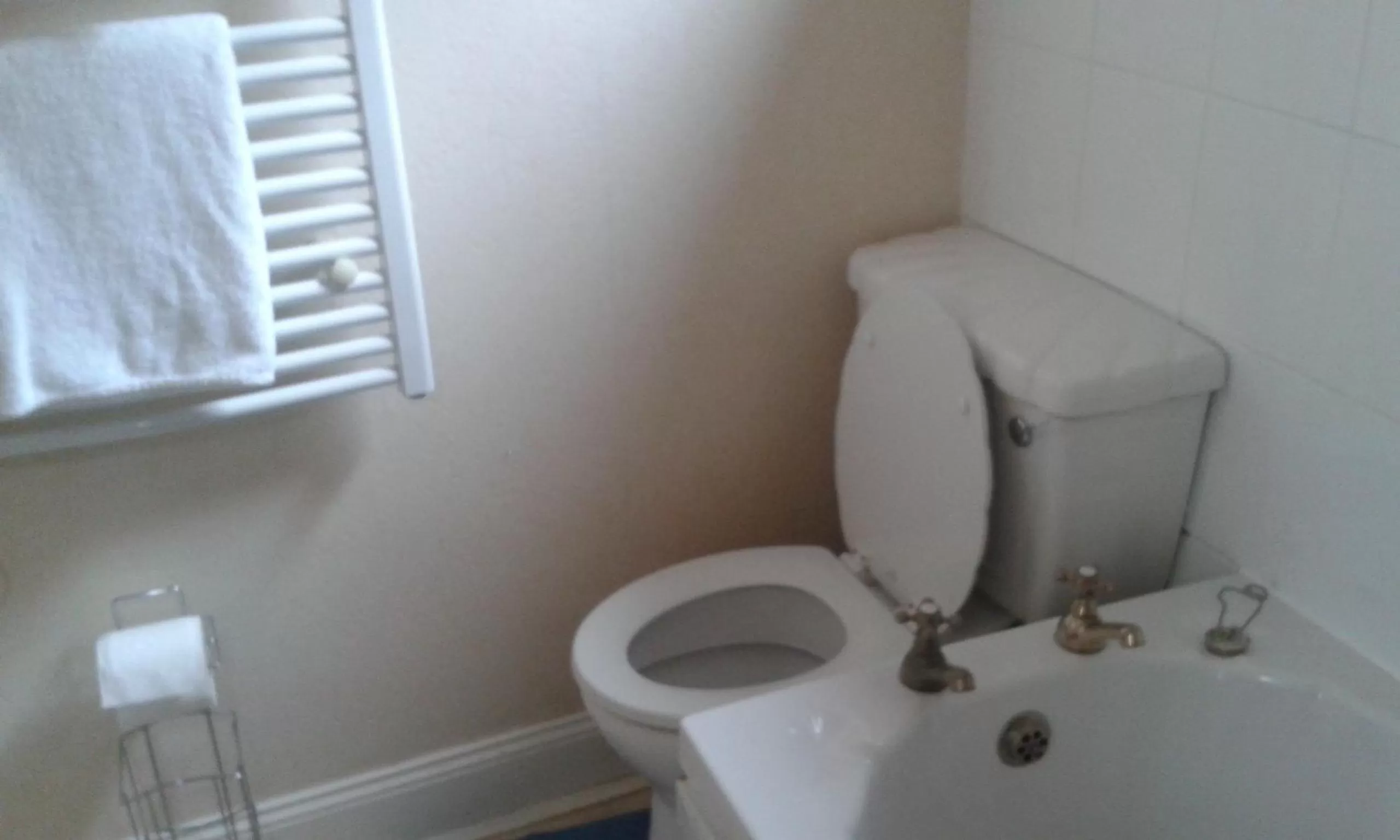 Toilet in Gilesgate Moor Hotel