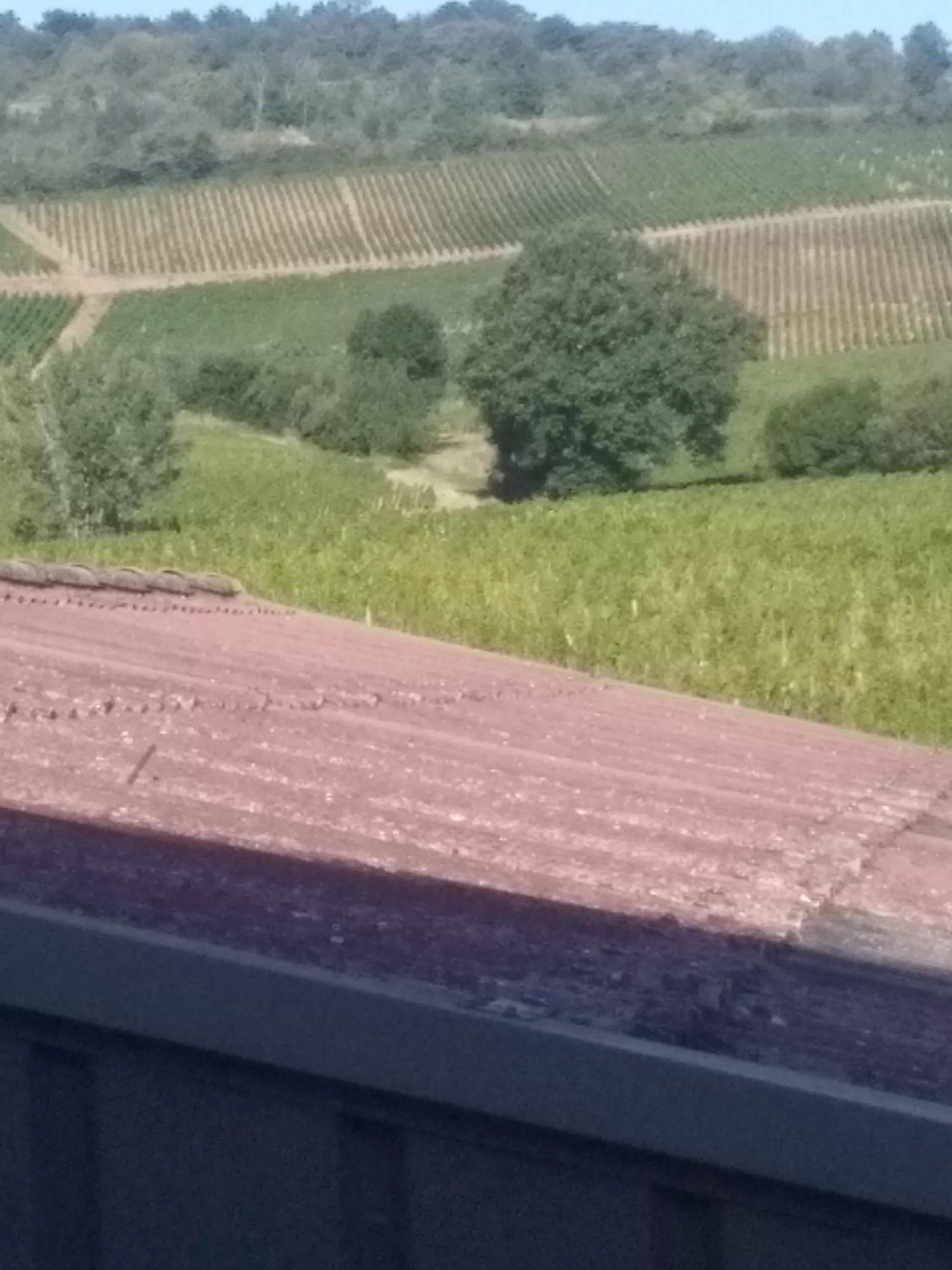 Property building in Virginie et Serge