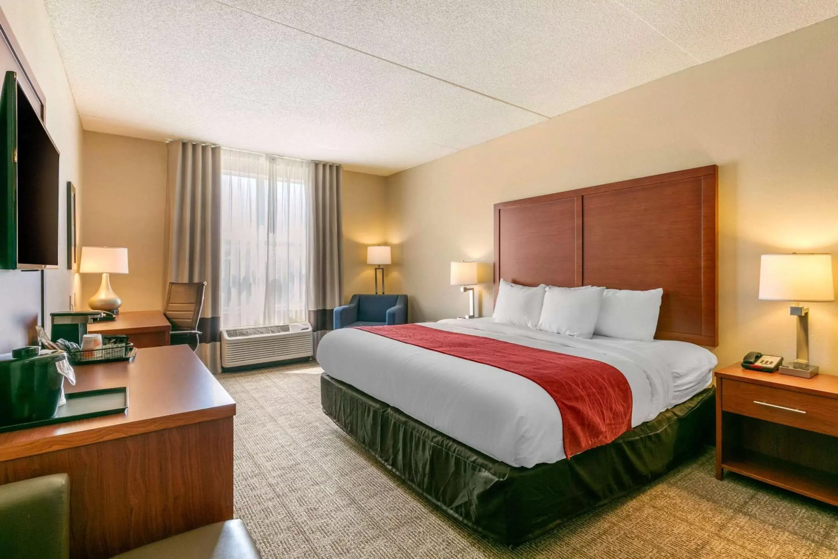 Photo of the whole room in Comfort Inn & Suites Nashville Franklin Cool Springs